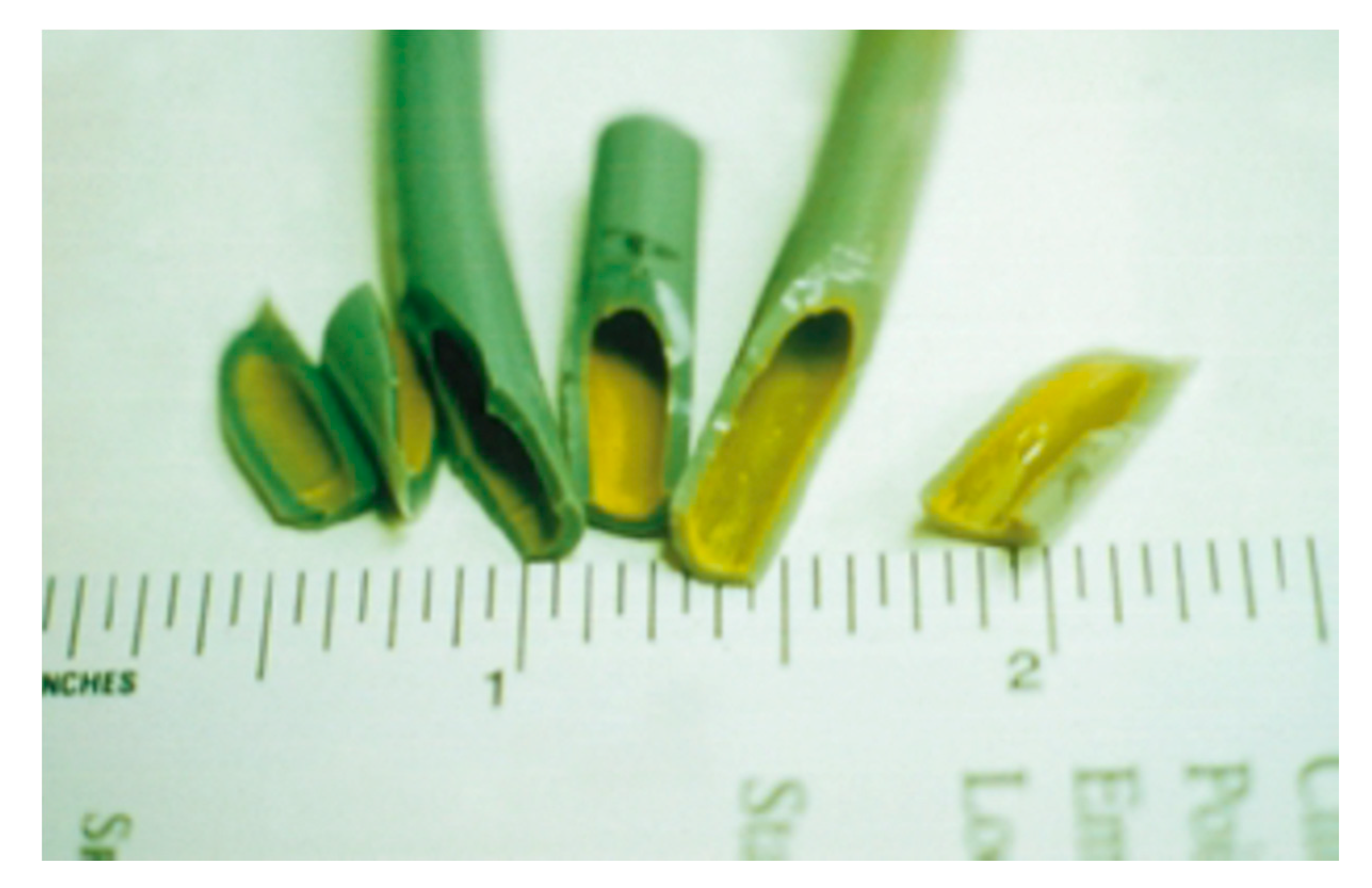 Pathogens 09 00651 g002 Pathogens 09 00651 g002