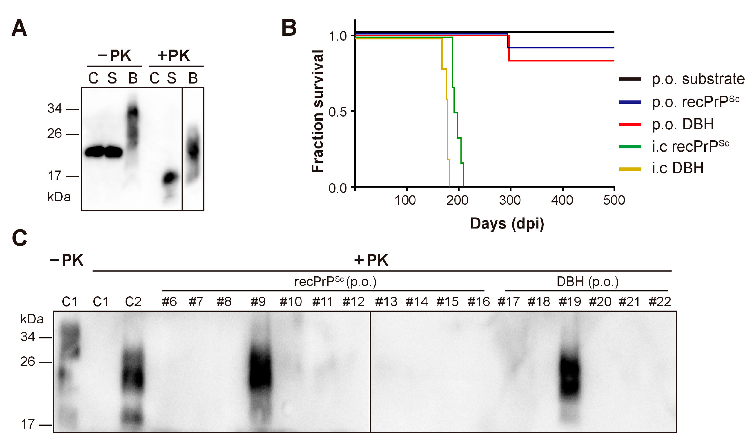 Pathogens 09 00653 g001 Pathogens 09 00653 g001