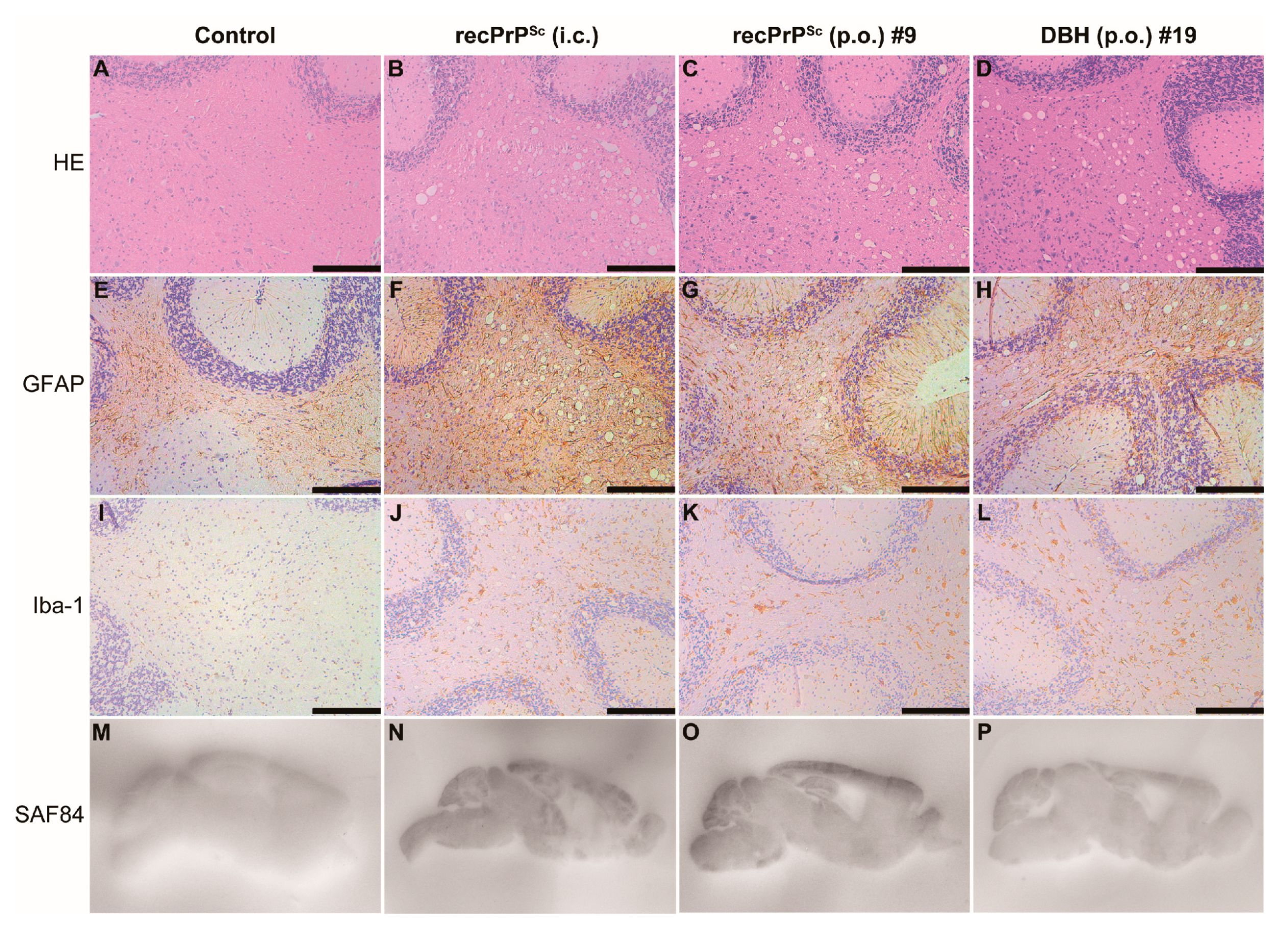 Pathogens 09 00653 g002 Pathogens 09 00653 g002