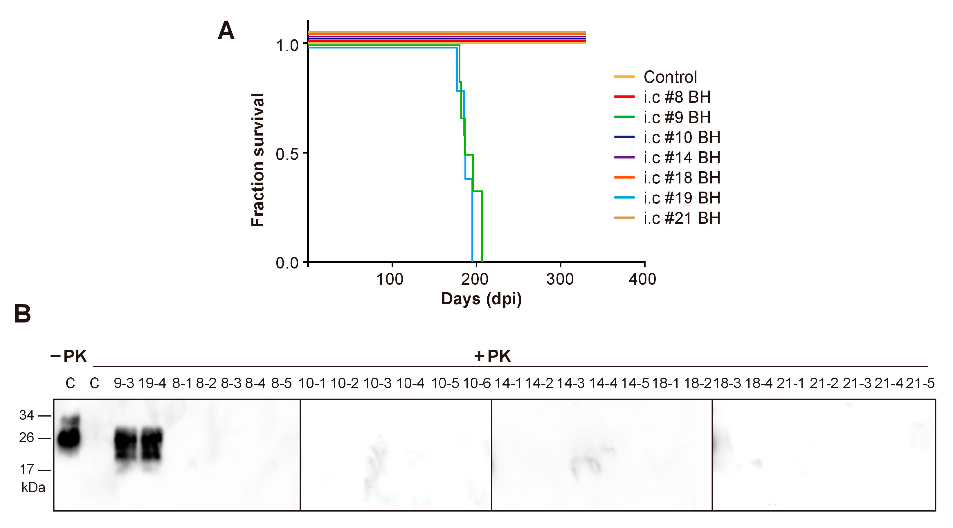 Pathogens 09 00653 g003 Pathogens 09 00653 g003