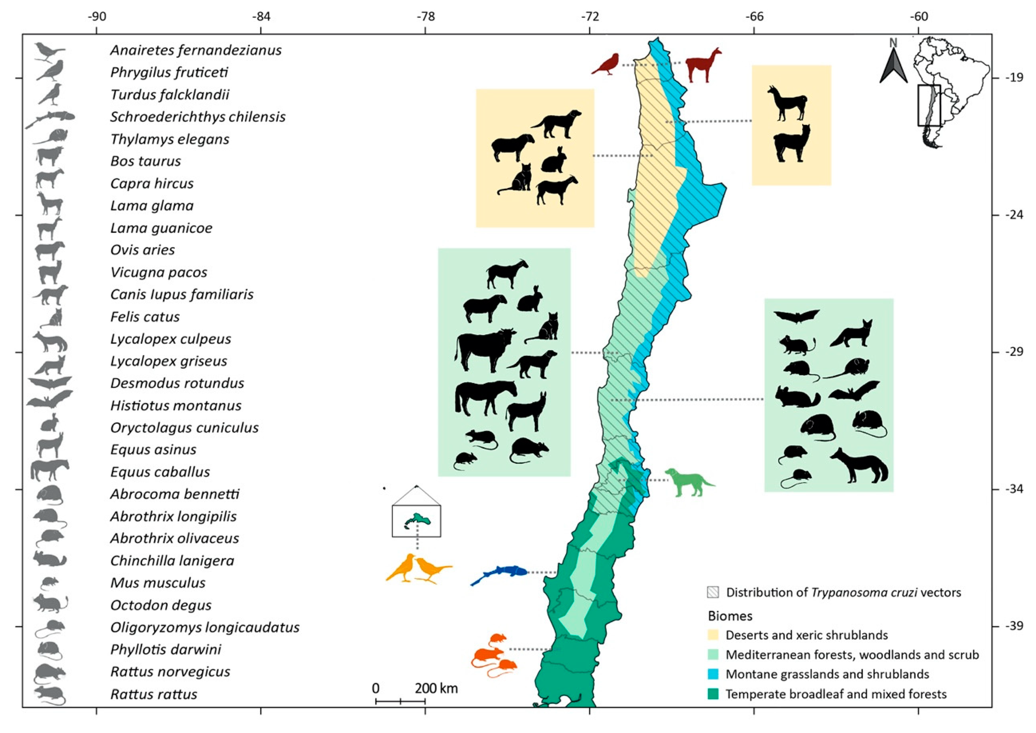 Pathogens 09 00661 g002