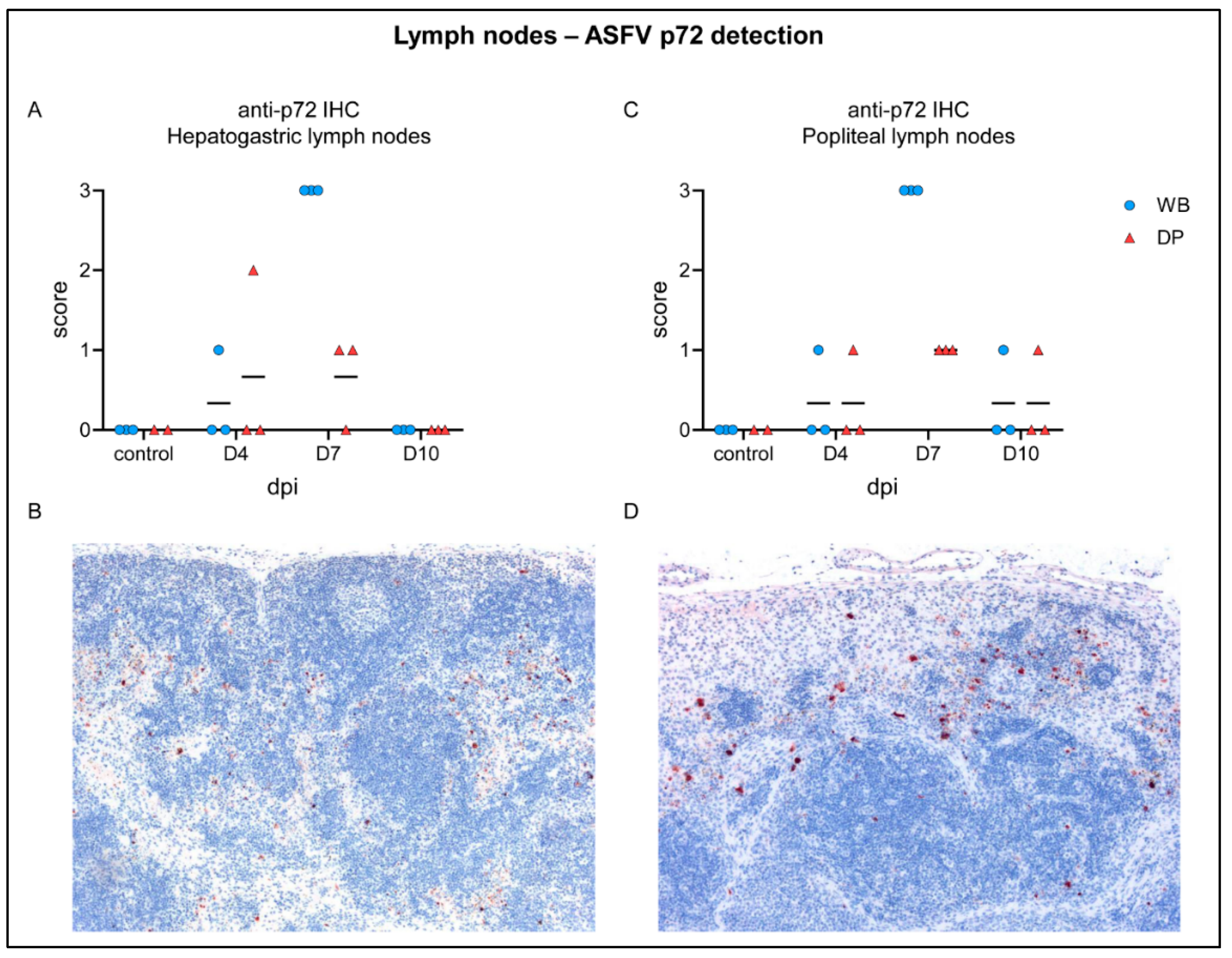 Pathogens 09 00662 g006 Pathogens 09 00662 g006