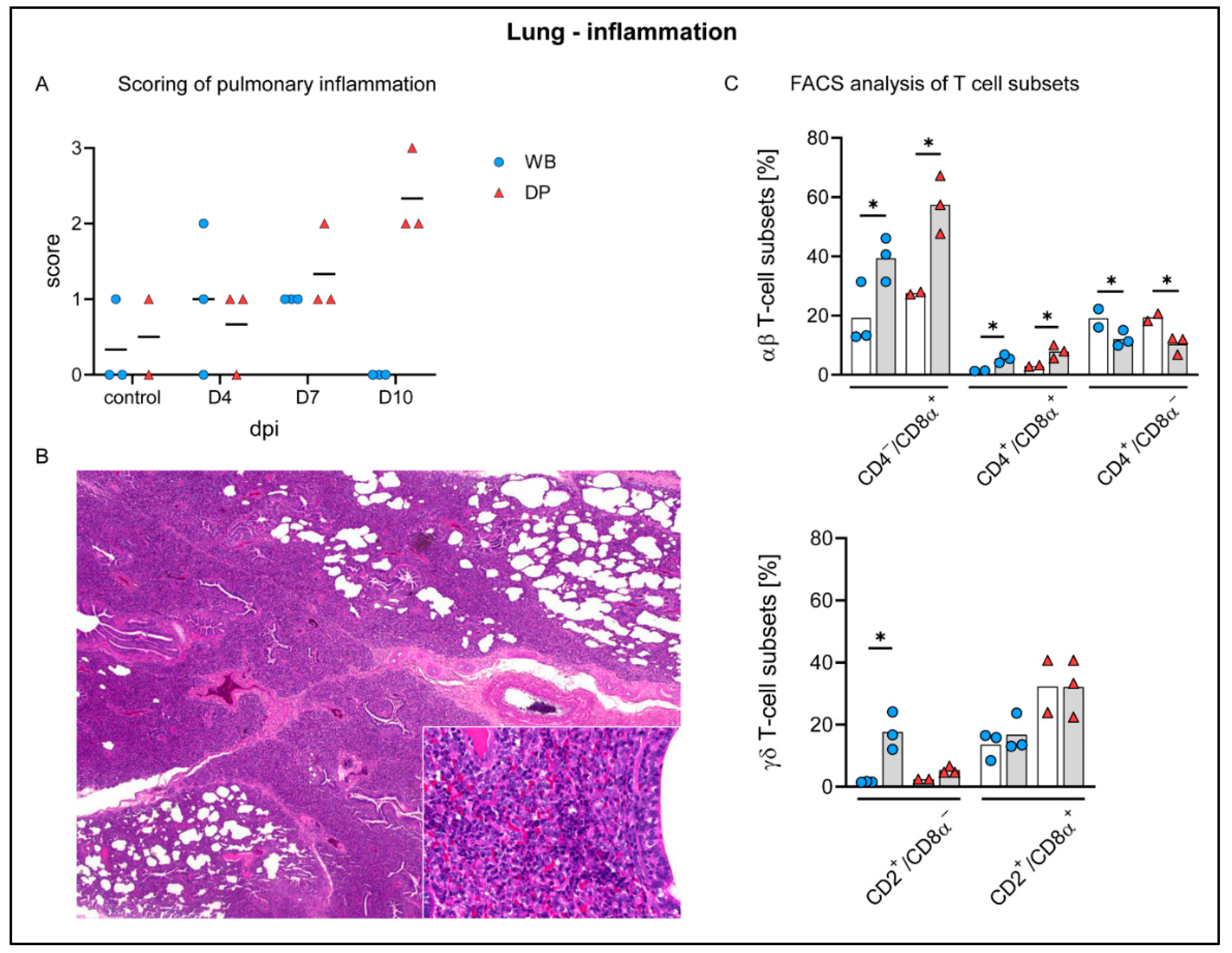 Pathogens 09 00662 g007 Pathogens 09 00662 g007