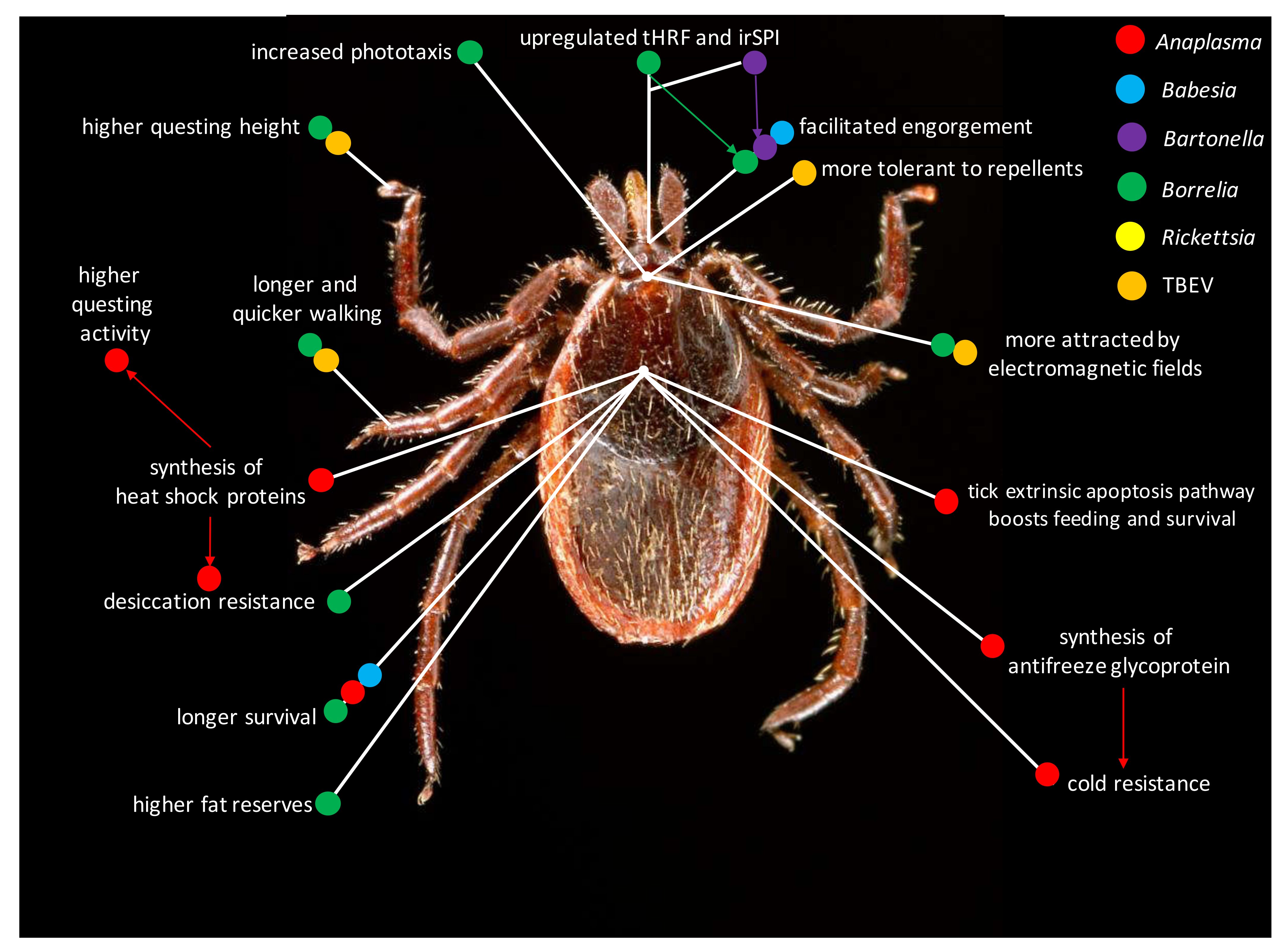 Pathogens 09 00664 g001