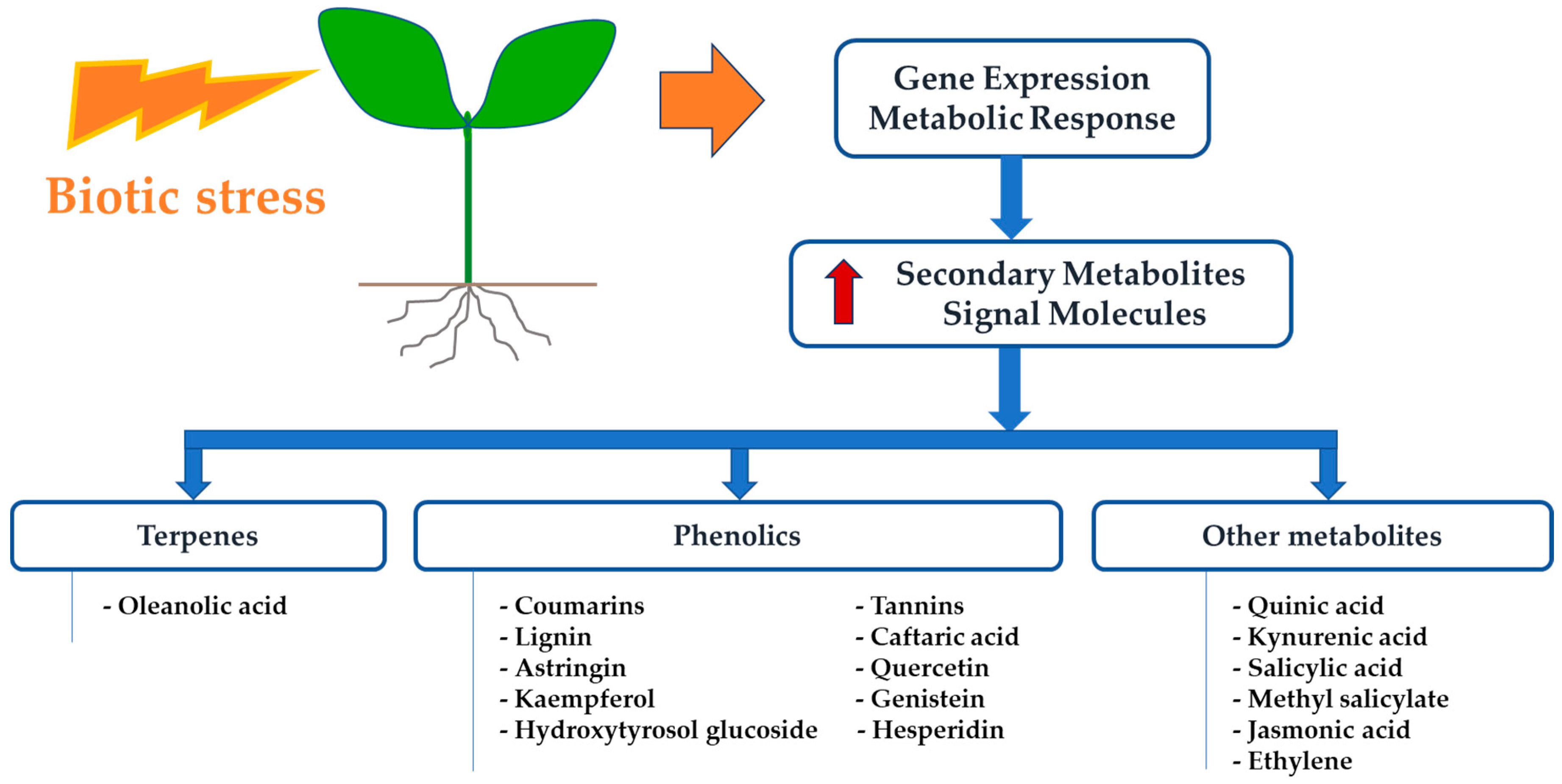 Pathogens 09 00675 g001