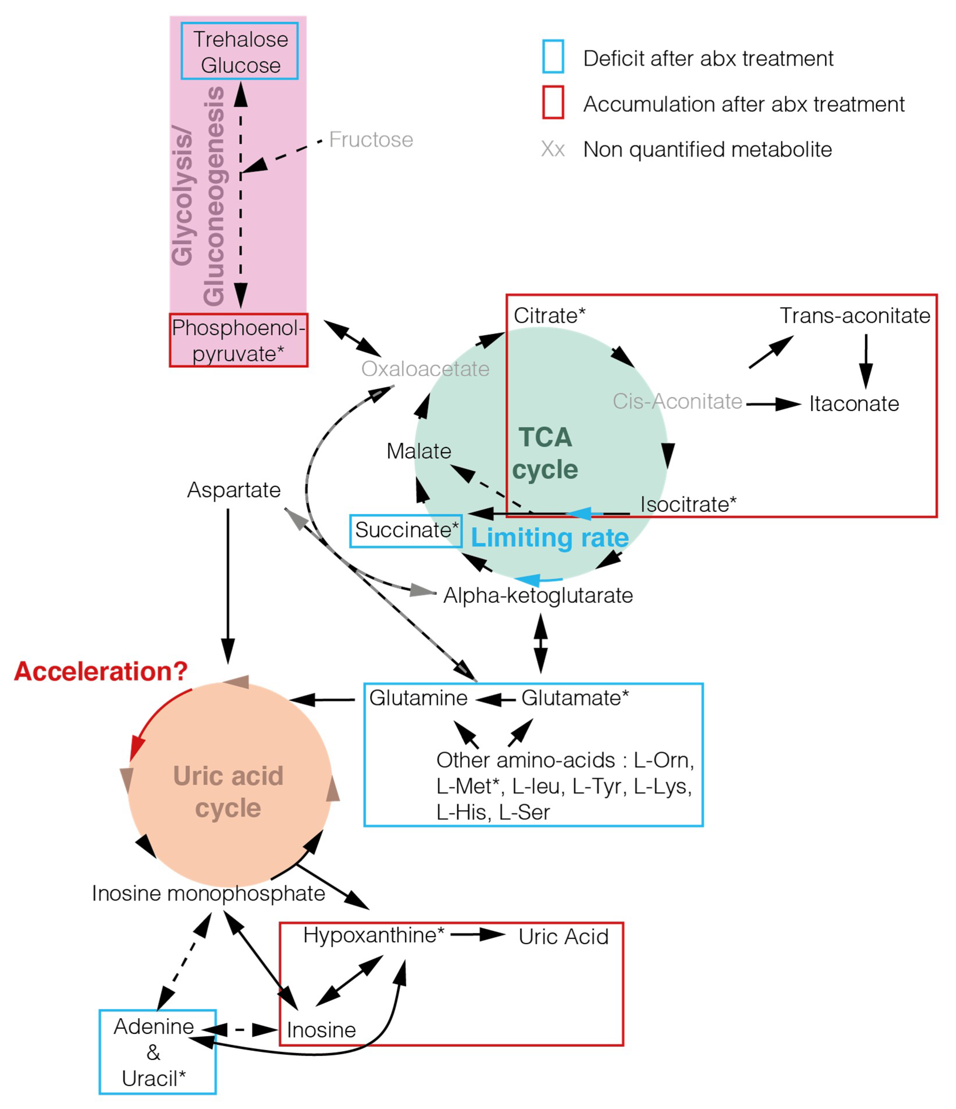 Pathogens 09 00679 g004