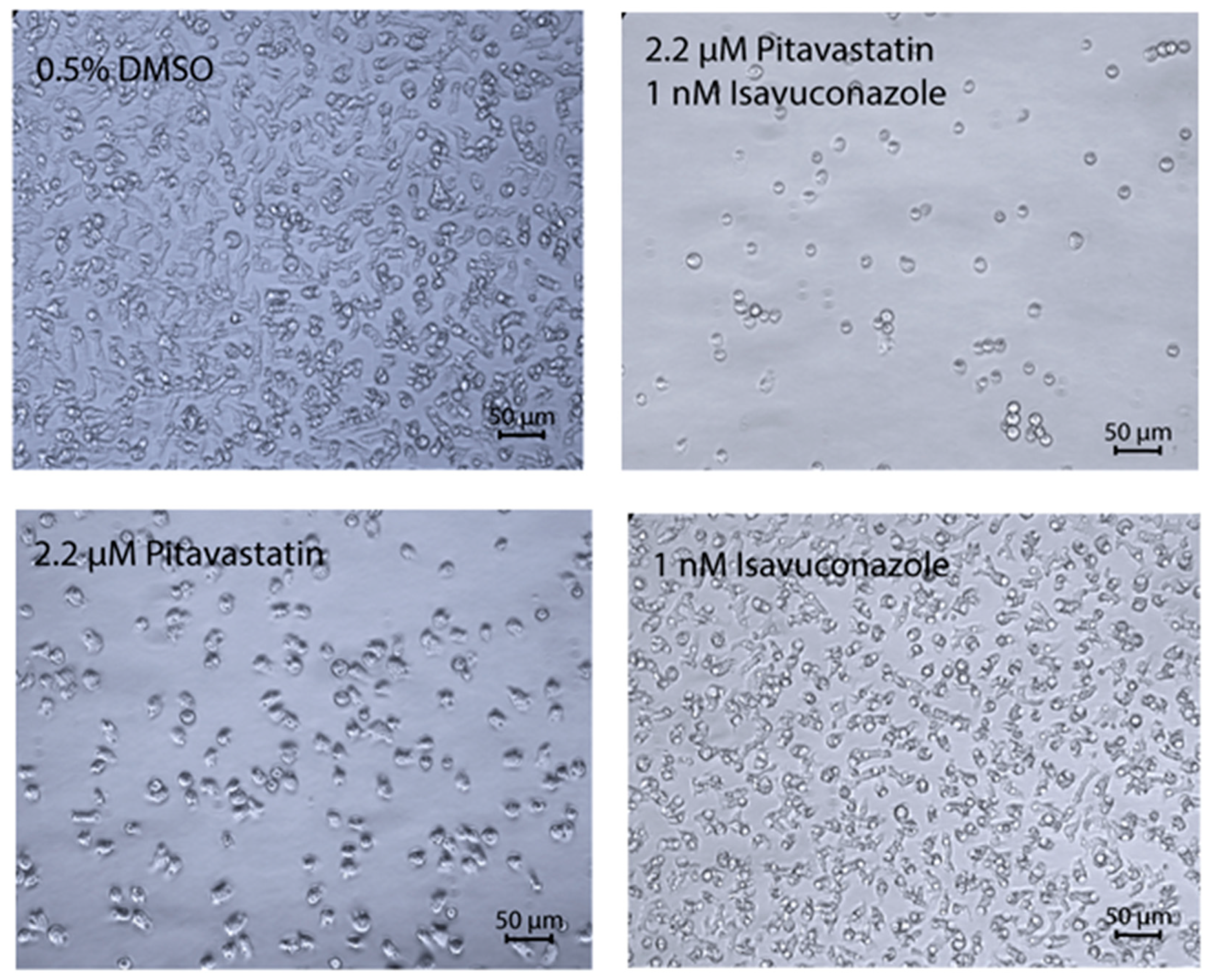 Pathogens 09 00681 g001 Pathogens 09 00681 g001