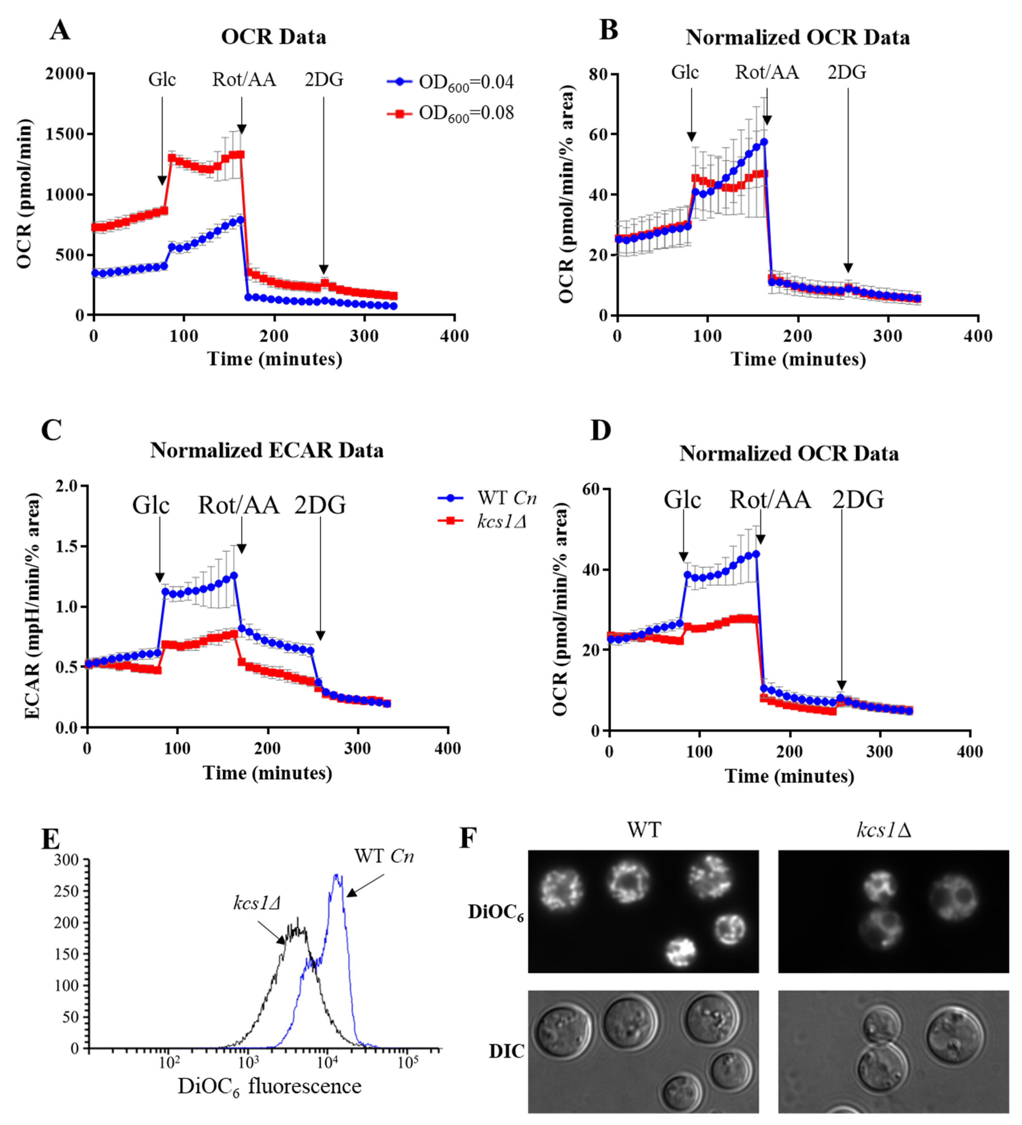 Pathogens 09 00684 g003
