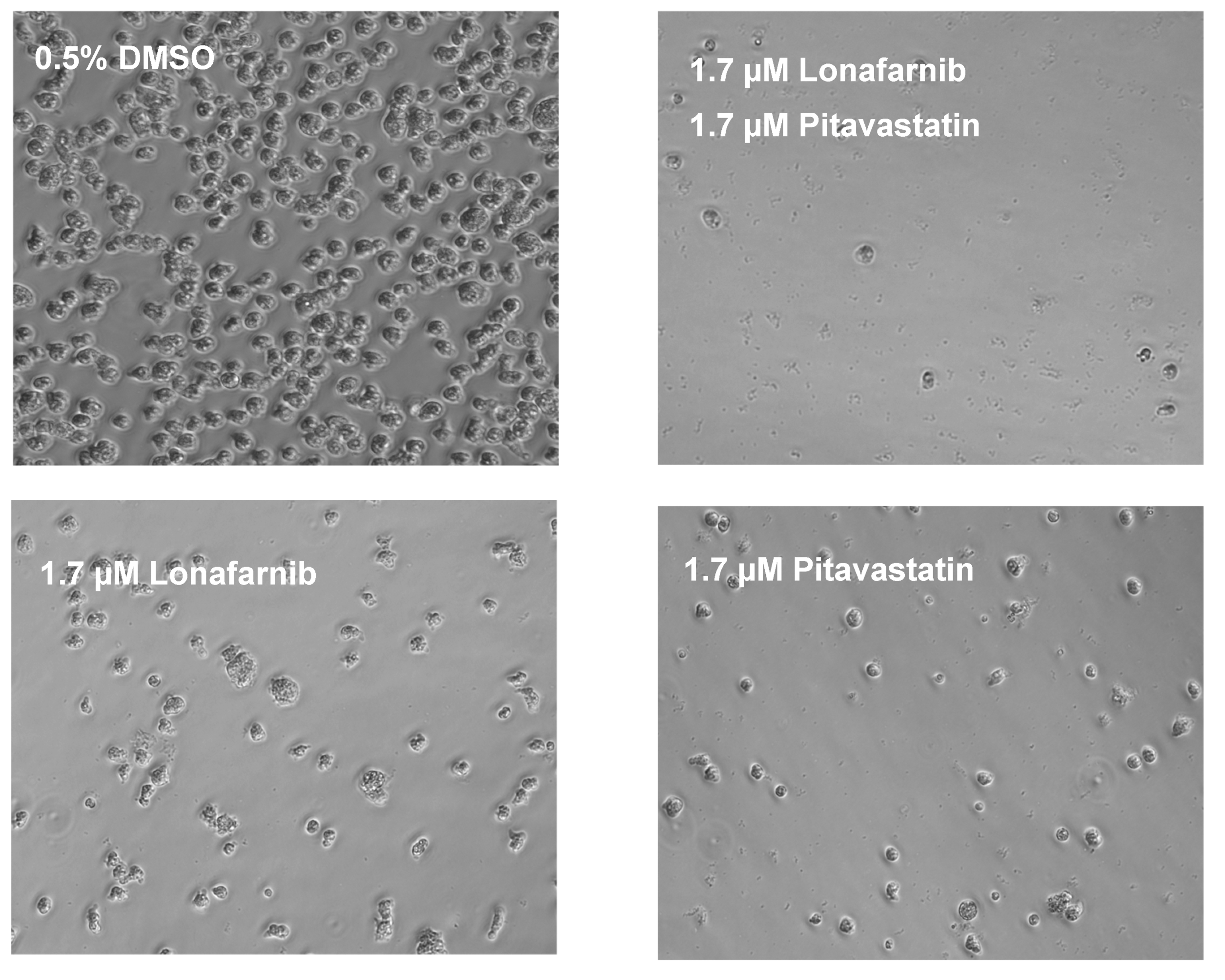 Pathogens 09 00689 g001
