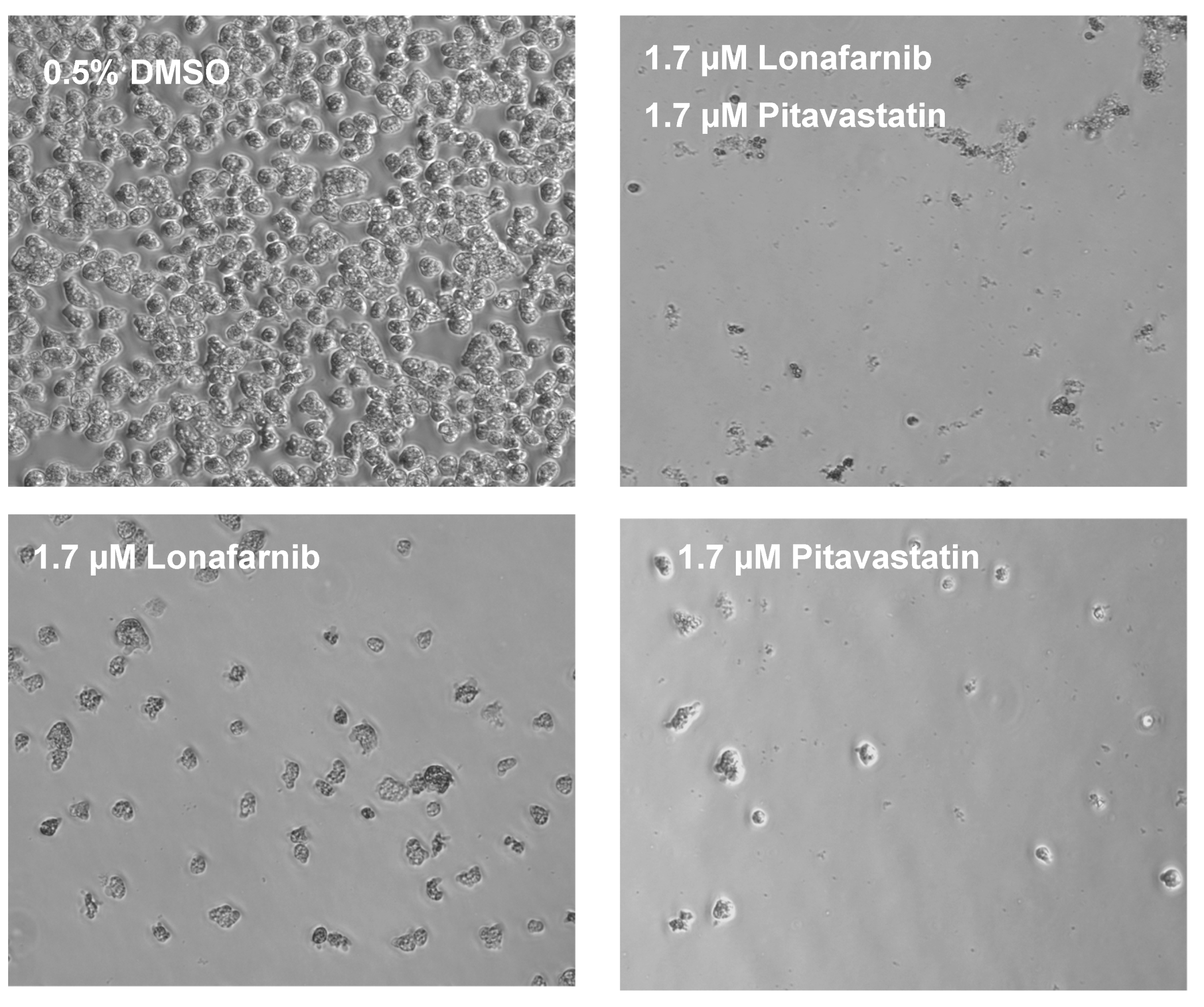 Pathogens 09 00689 g002