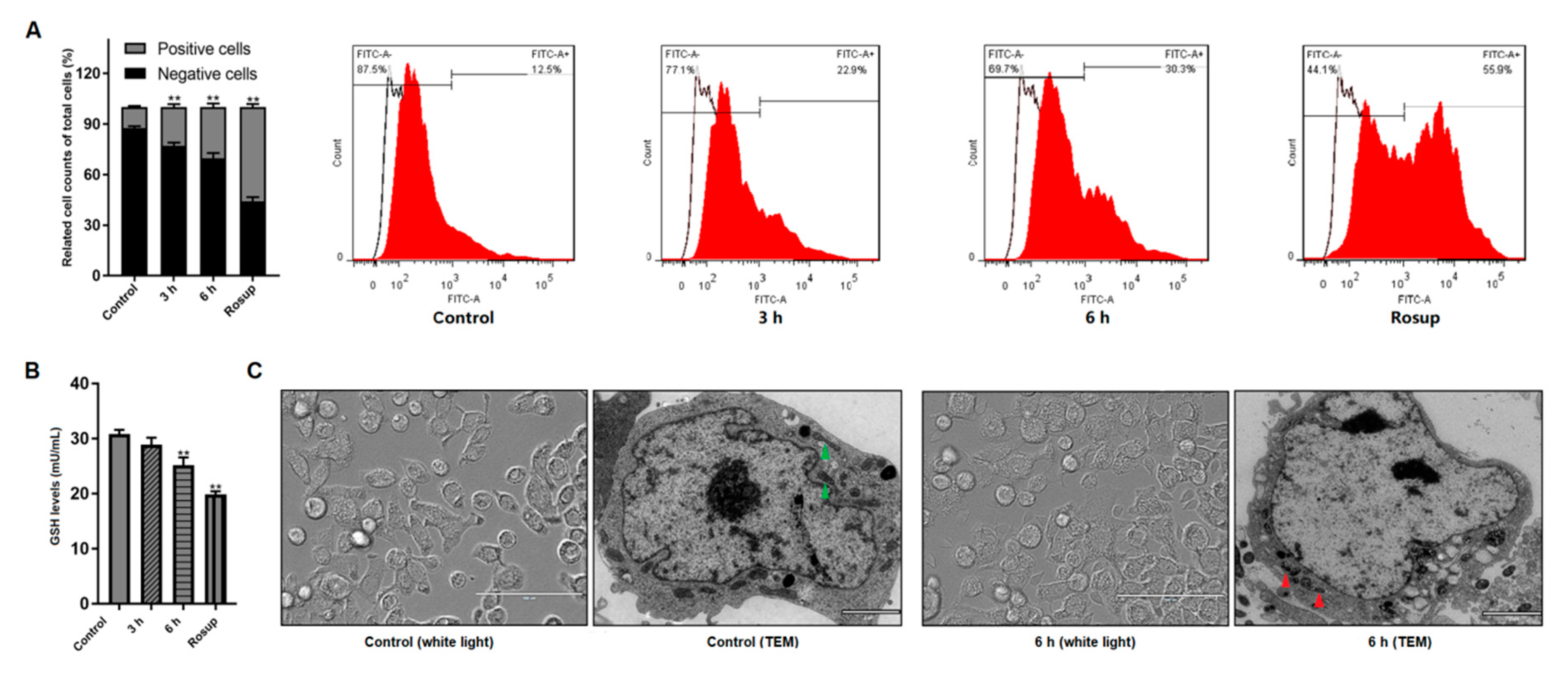 Pathogens 09 00693 g002