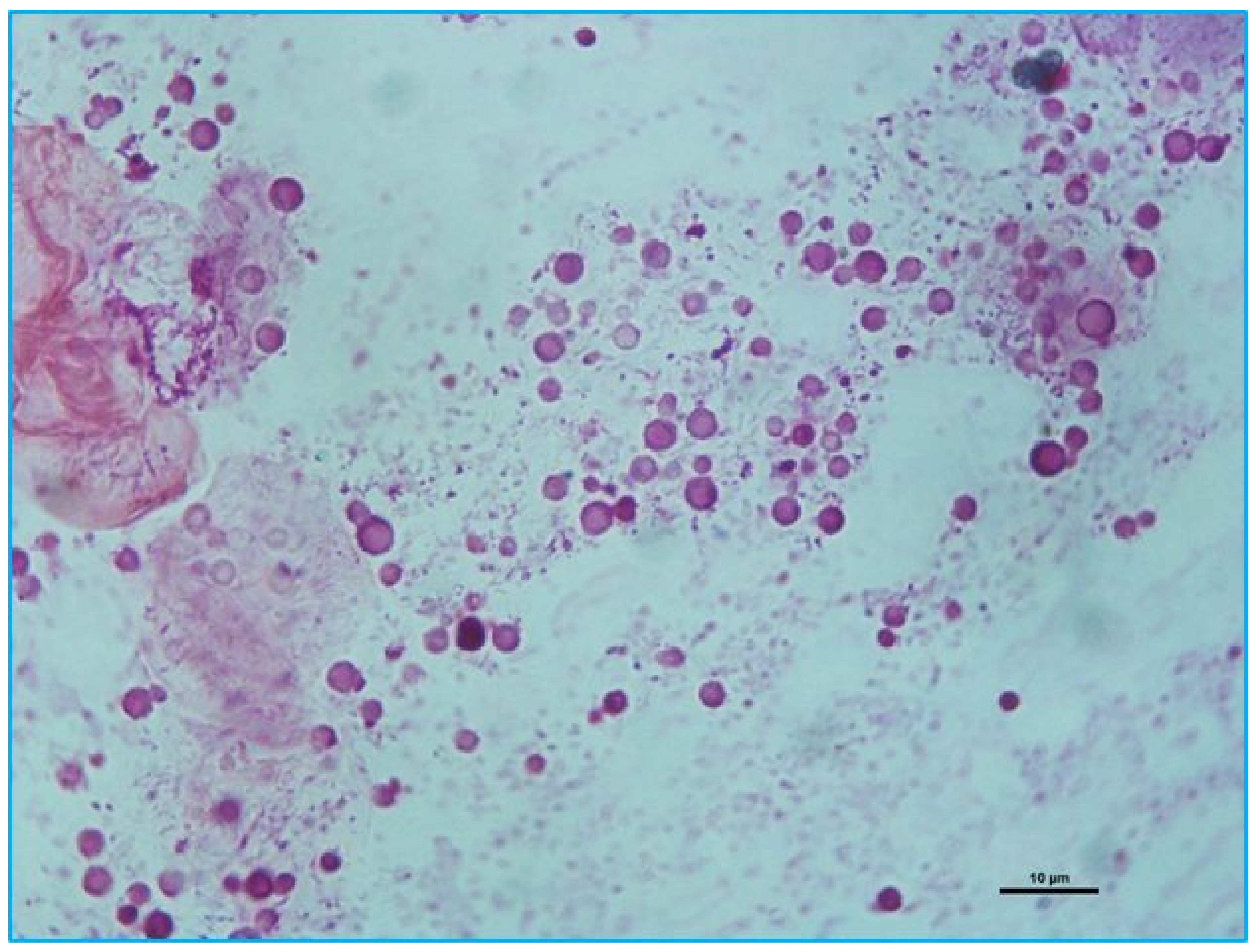 Pathogens 09 00696 g001 Pathogens 09 00696 g001