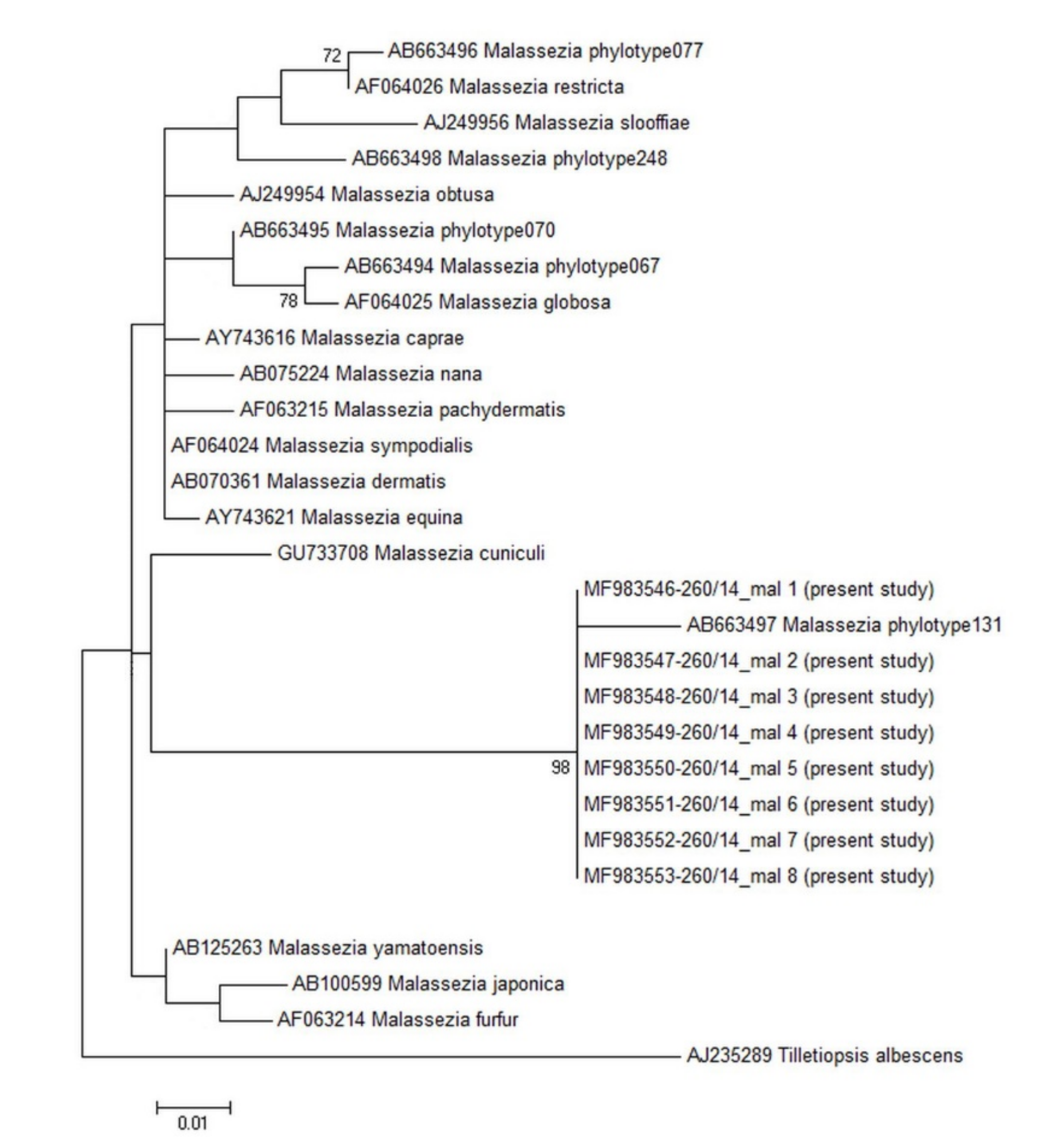 Pathogens 09 00696 g003 Pathogens 09 00696 g003
