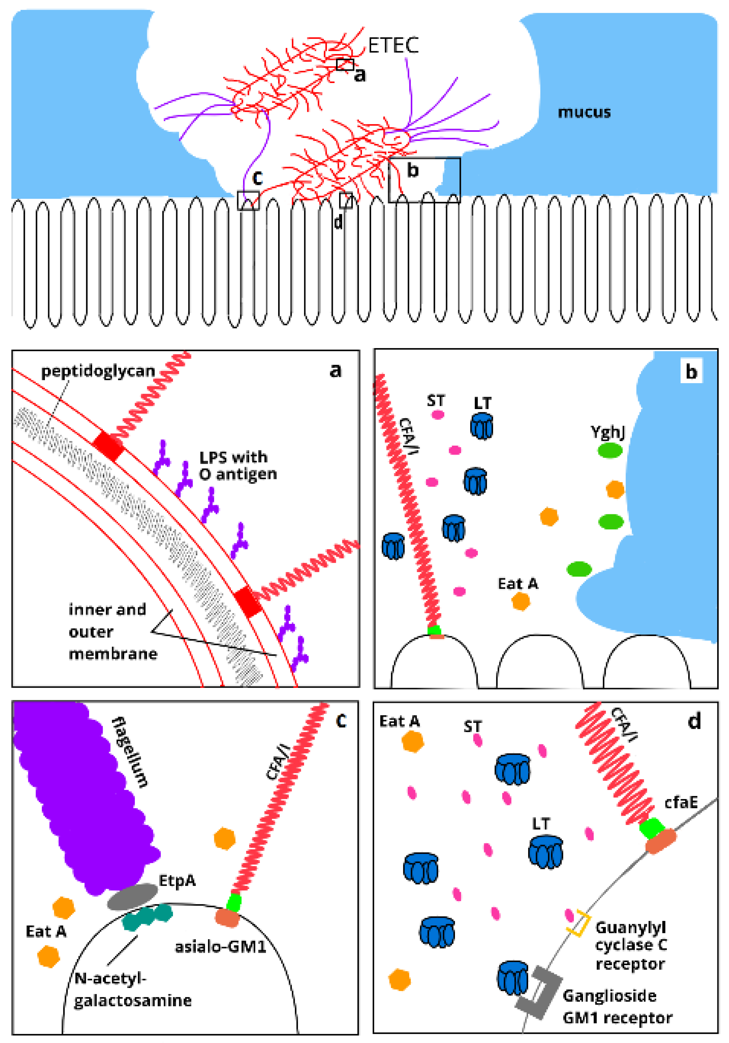 Pathogens 09 00714 g002 Pathogens 09 00714 g002