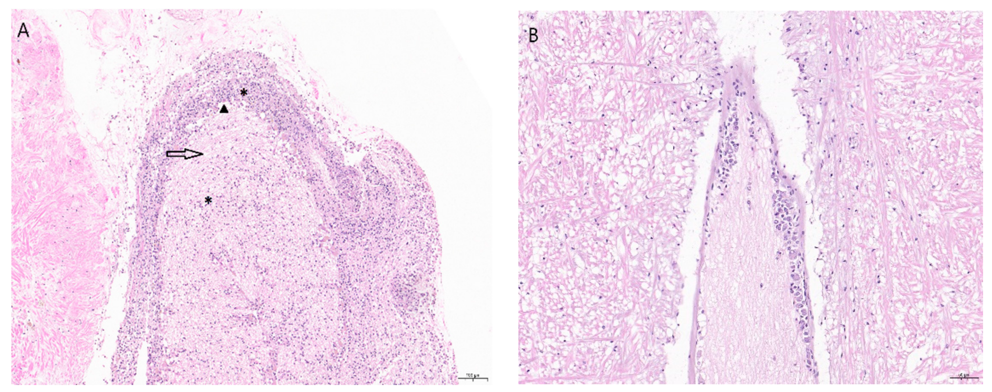 Pathogens 09 00720 g003