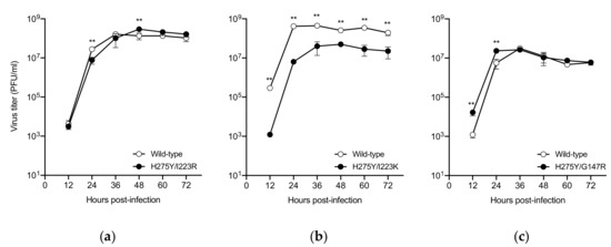 Pathogens Free Full Text In Vitro Characterization Of Multidrug Resistant Influenza A H1n1 Pdm09 Viruses Carrying A Dual Neuraminidase Mutation Isolated From Immunocompromised Patients Html Pathogens Free Full Text In Vitro Characterization Of Multidrug Resistant Influenza A H1n1 Pdm09 Viruses Carrying A Dual Neuraminidase Mutation Isolated From Immunocompromised Patients Html