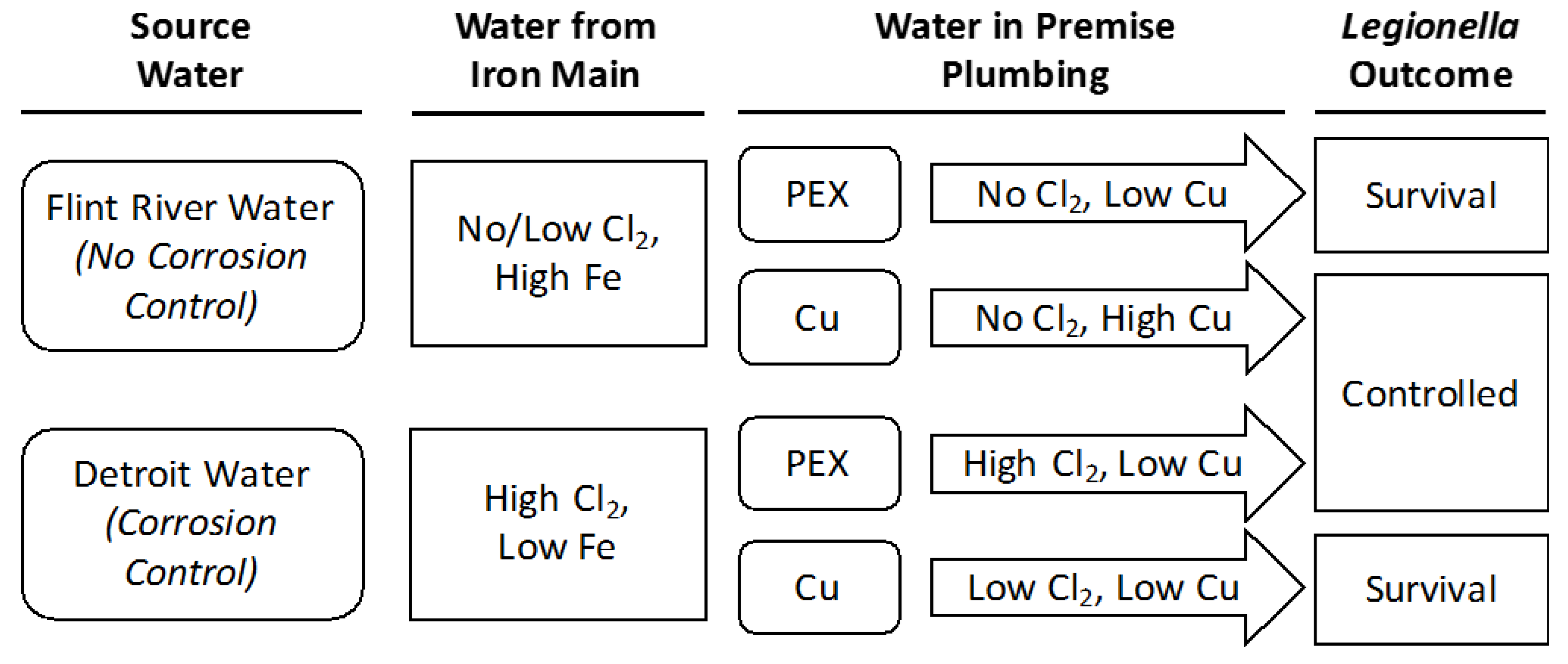 Pathogens 09 00730 g001