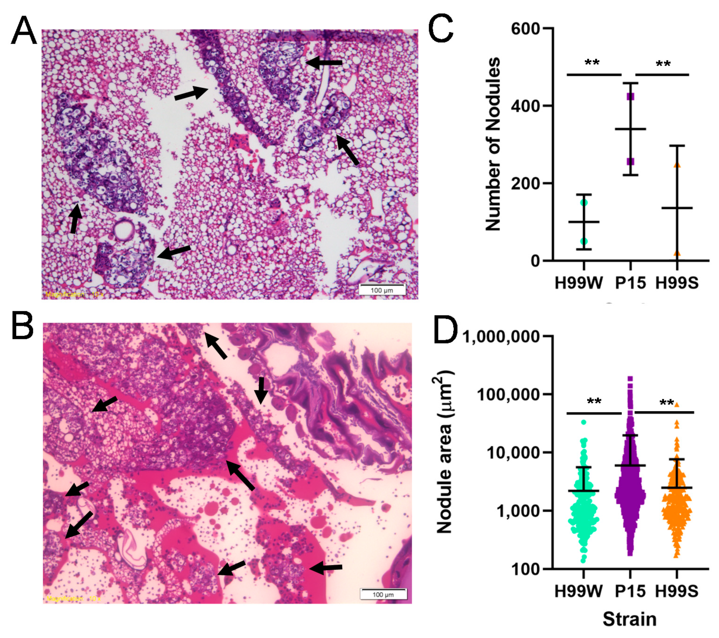Pathogens 09 00732 g008