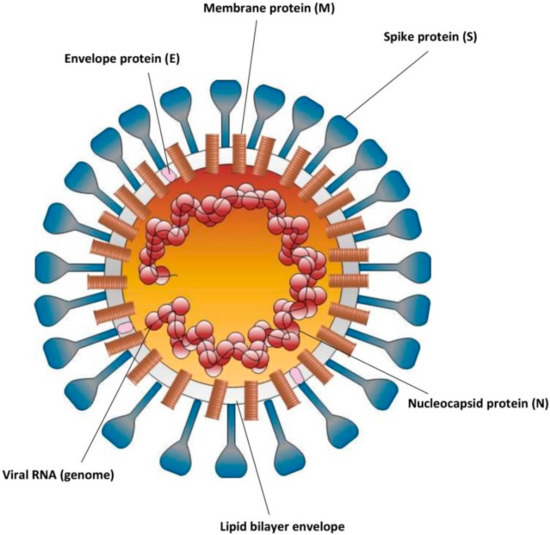 Pathogens Free FullText Control Measures for SARSCoV2 A Review