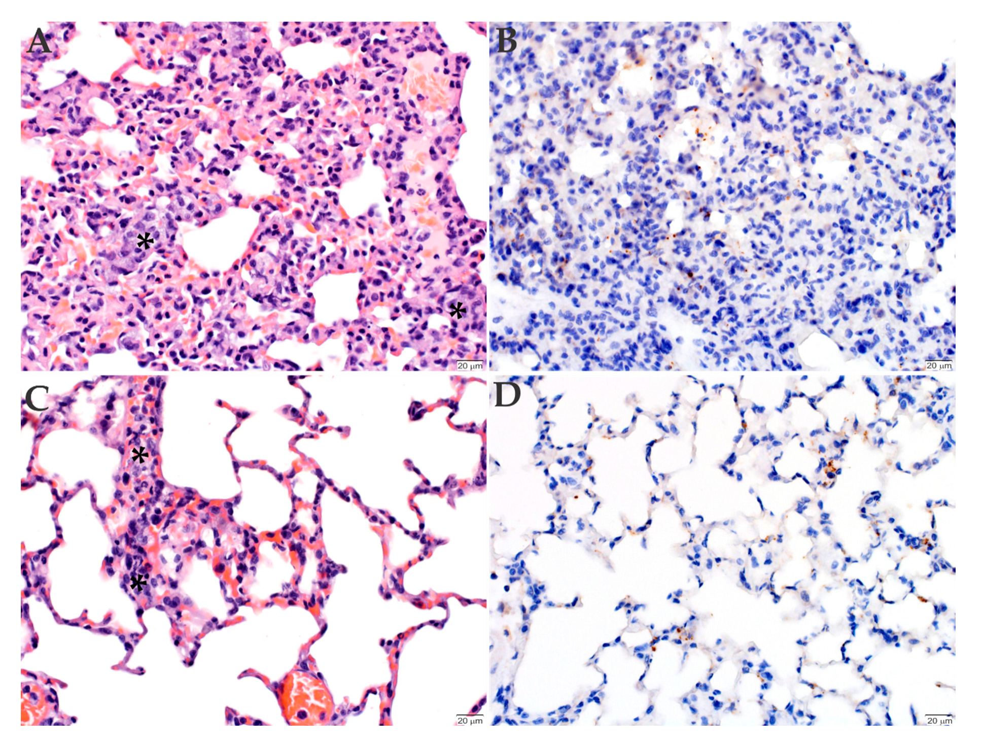 Pathogens 09 00744 g005