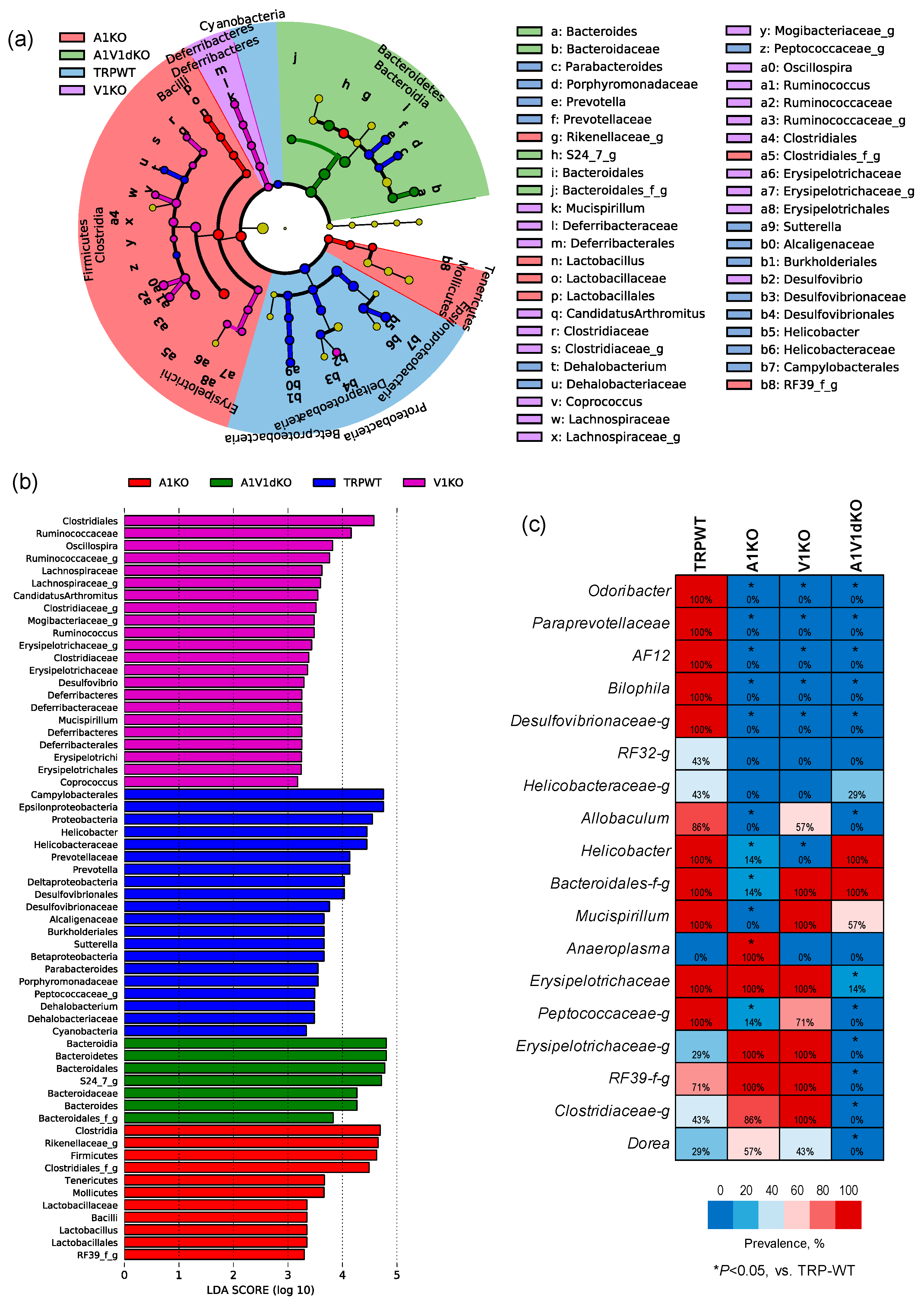 Pathogens 09 00753 g004 Pathogens 09 00753 g004