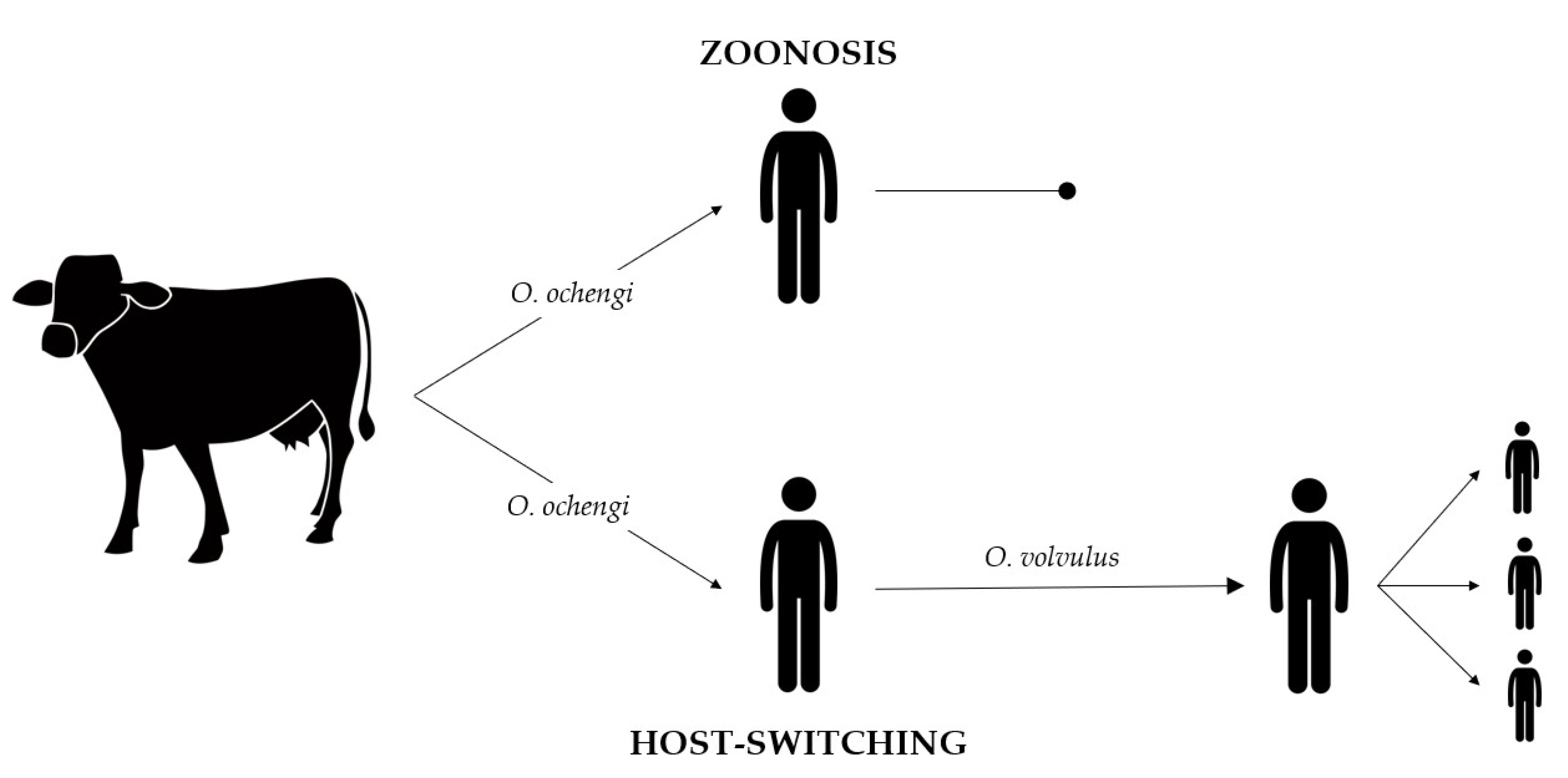 Pathogens 09 00761 g001