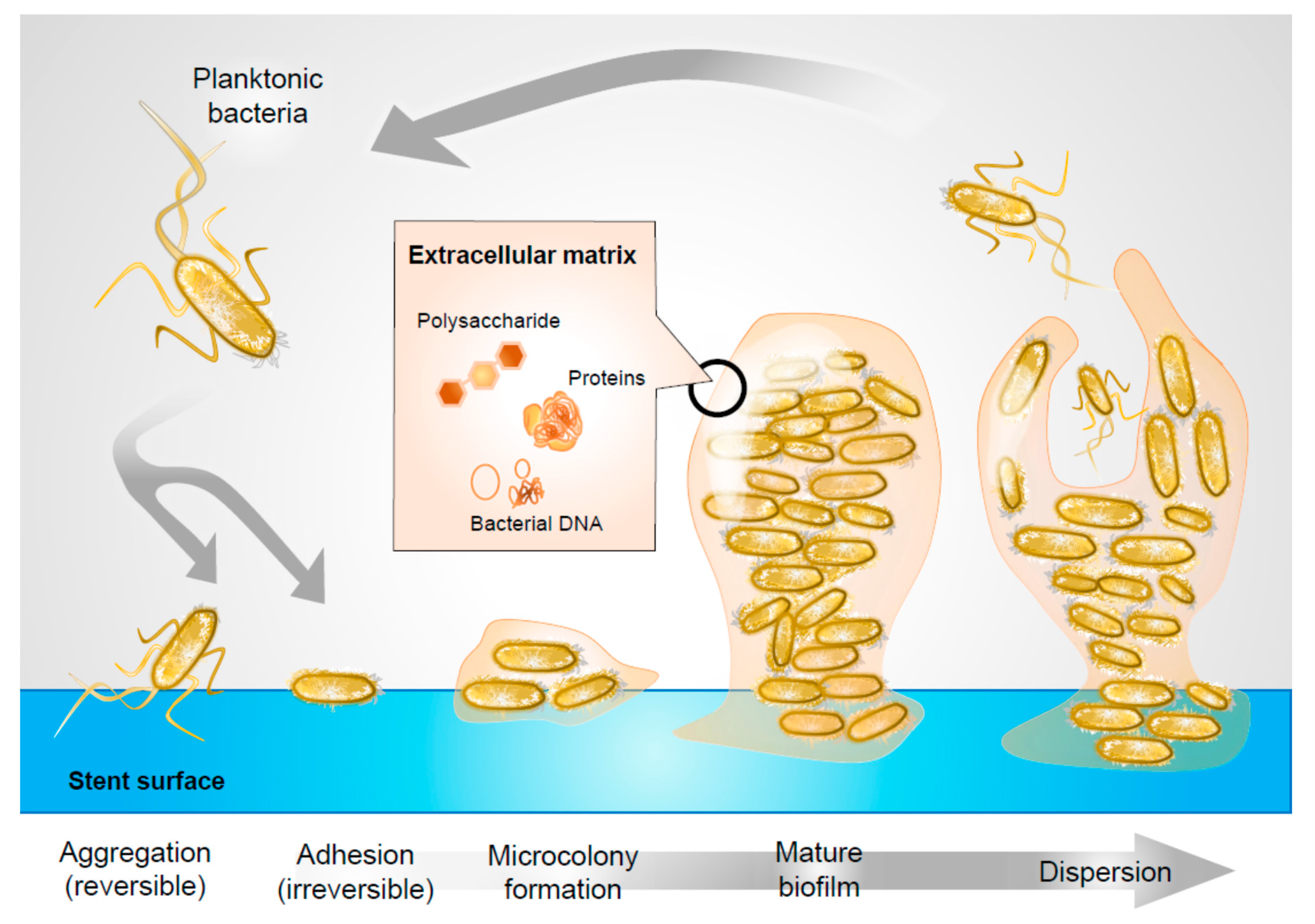 Pathogens 09 00764 g001