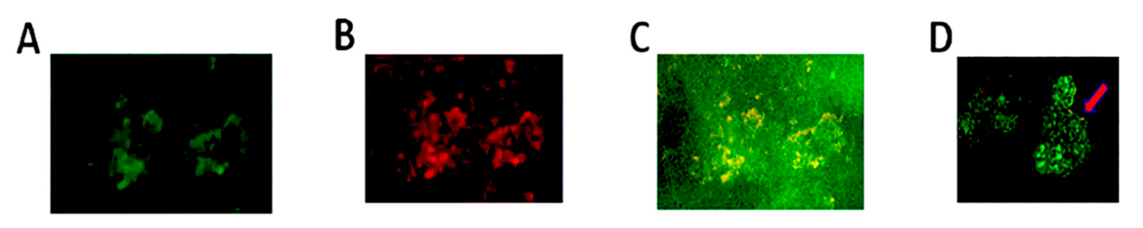 Pathogens 09 00764 g006