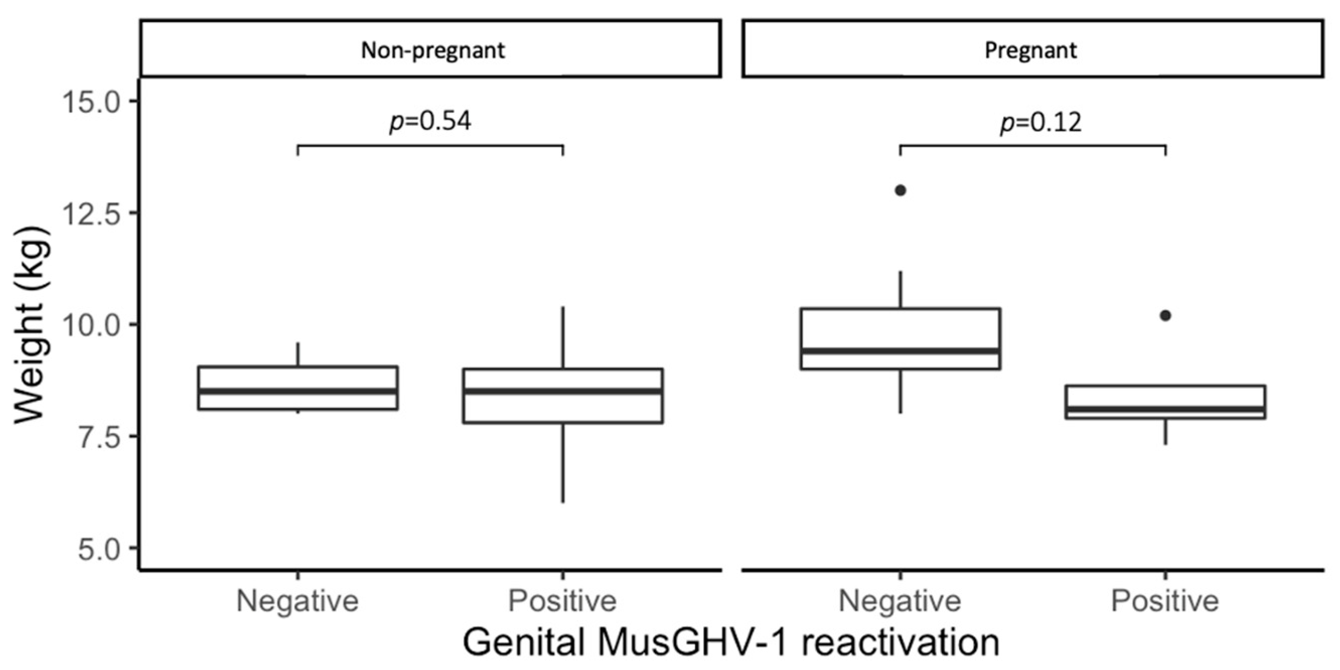 pathogens free full text effects of mustelid gammaherpesvirus 1 musghv 1 reactivation in european badger meles meles genital tracts on reproductive fitness html