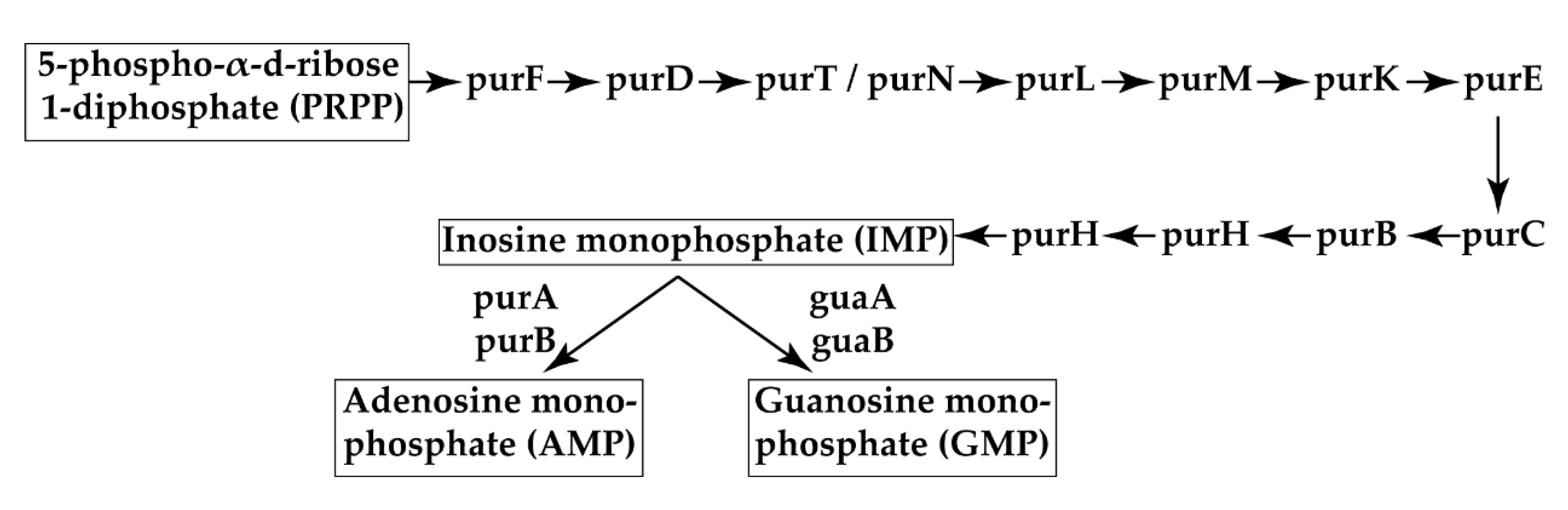 Pathogens 09 00774 g003