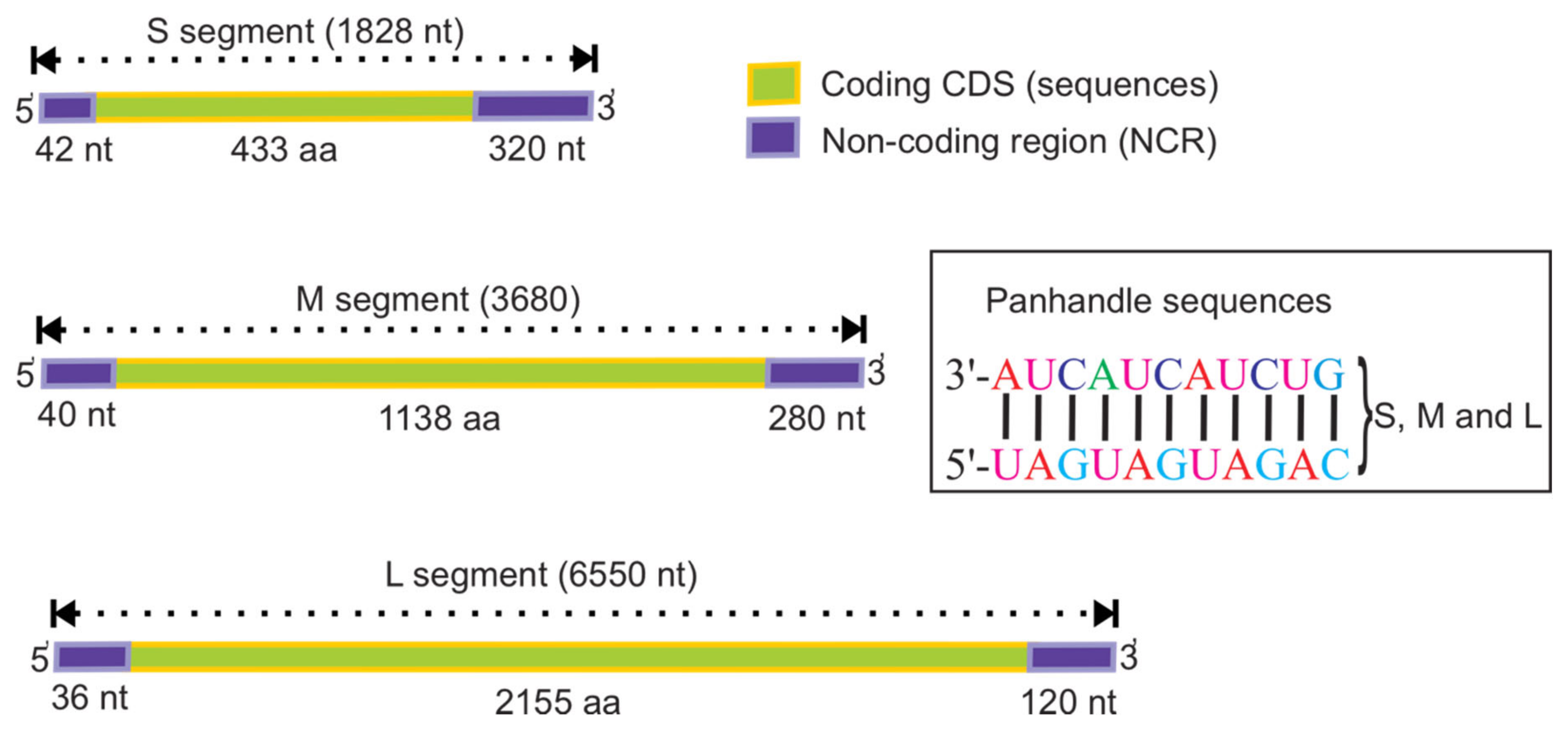 Pathogens 09 00775 g002 Pathogens 09 00775 g002