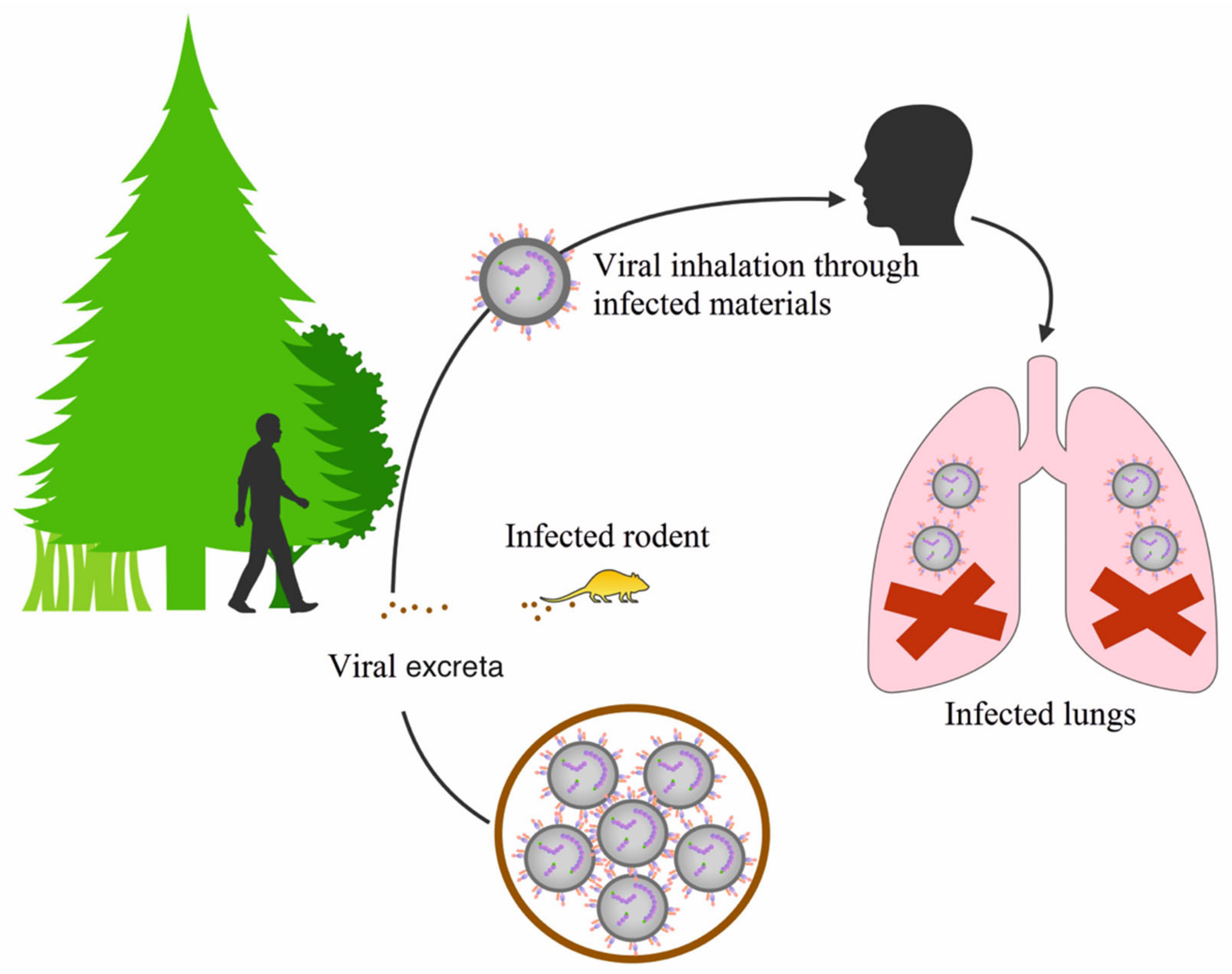 Pathogens 09 00775 g003 Pathogens 09 00775 g003