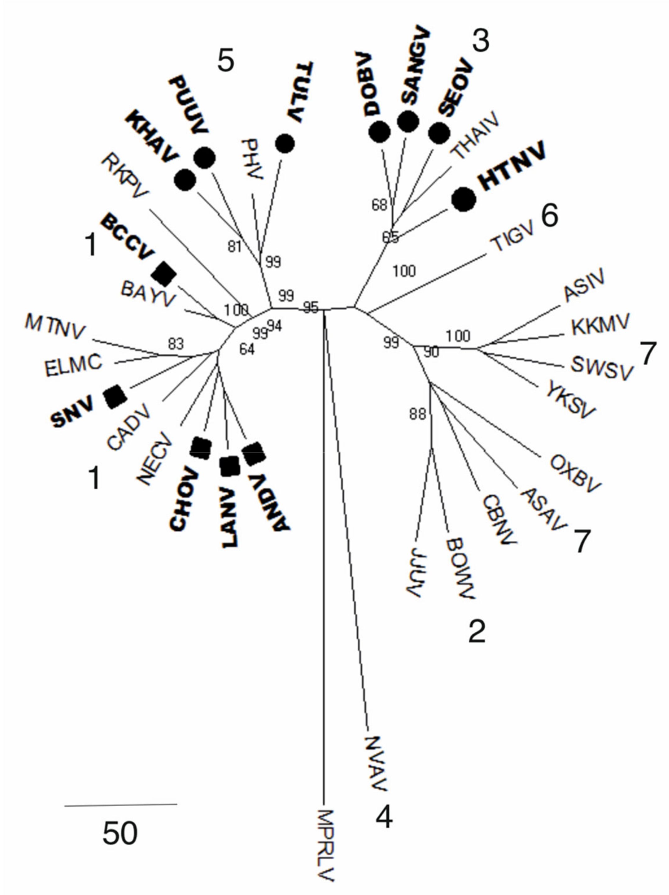 Pathogens 09 00775 g006 Pathogens 09 00775 g006