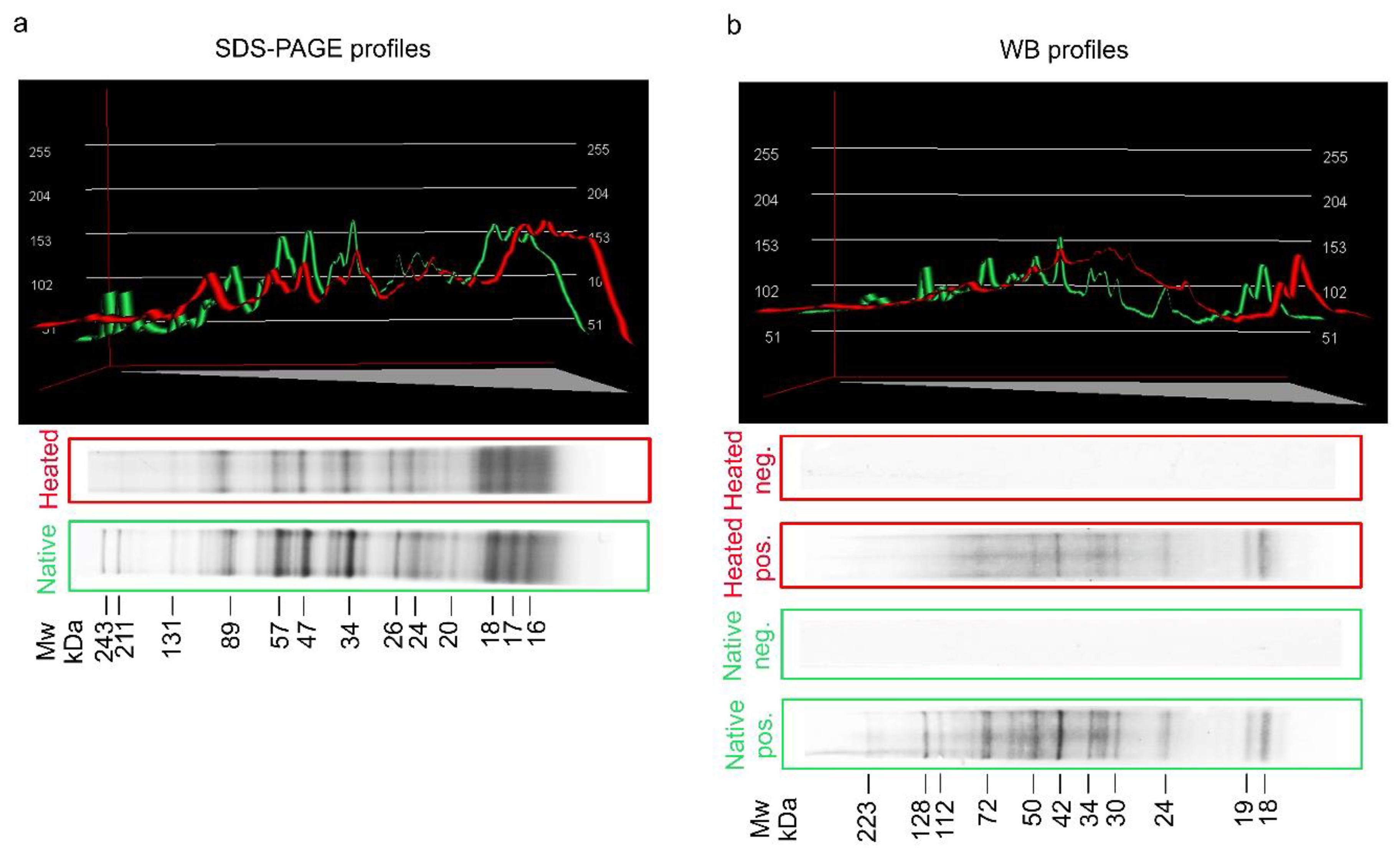 Pathogens 09 00777 g001