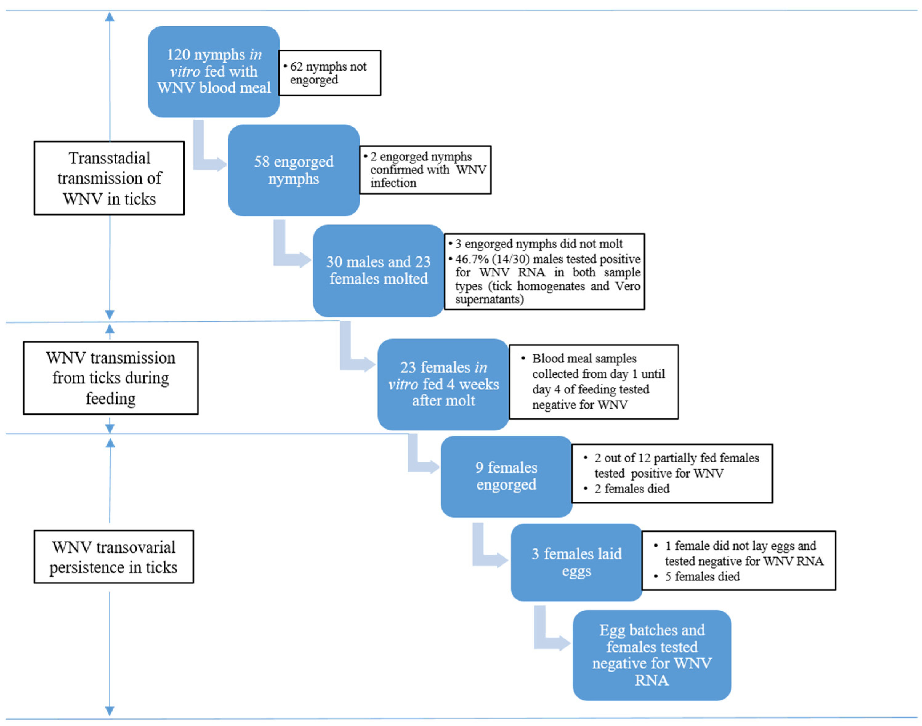 Pathogens 09 00780 g005 Pathogens 09 00780 g005