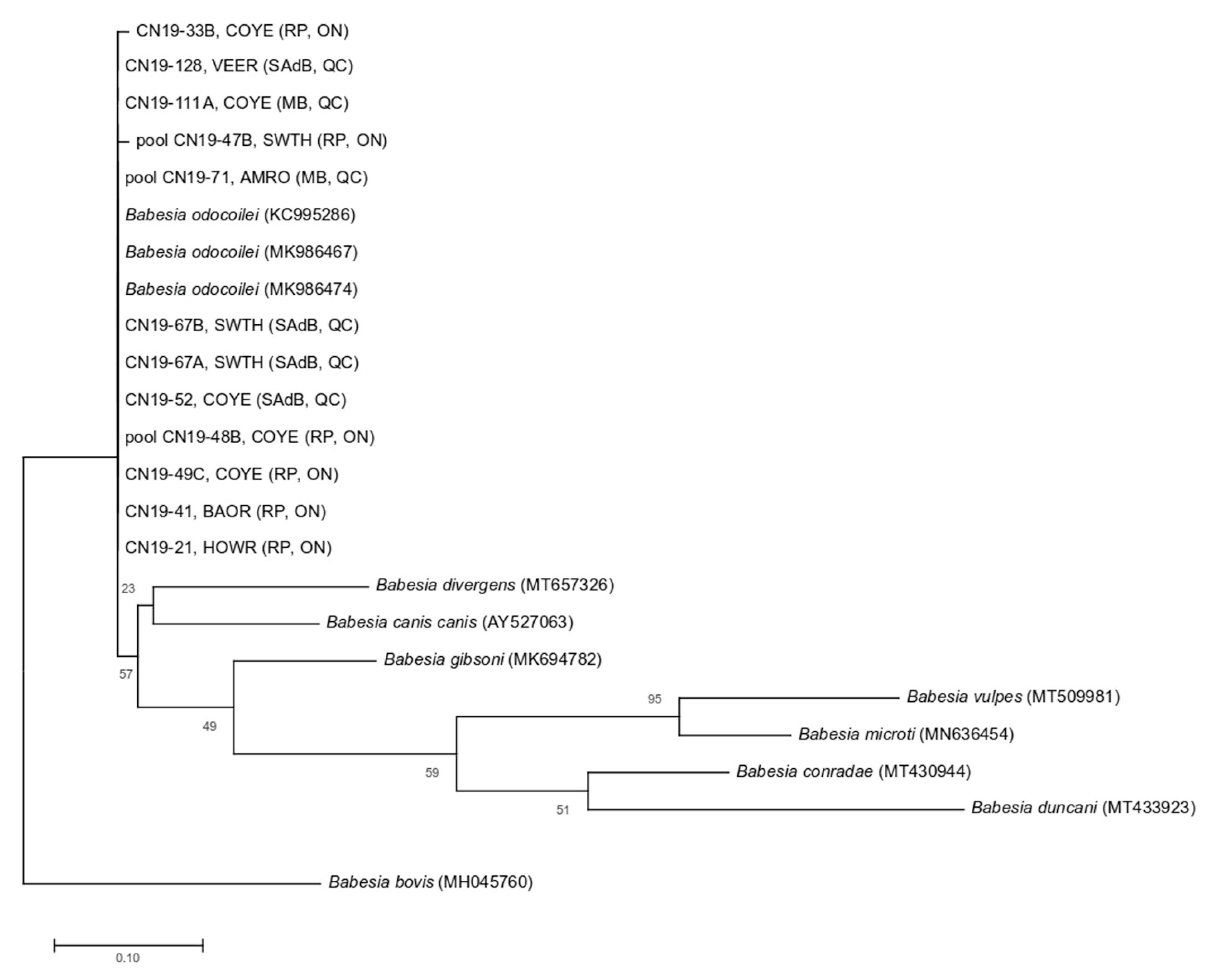 Pathogens 09 00781 g002