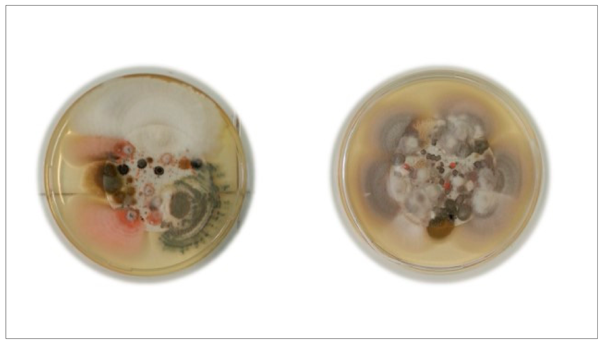 Pathogens 09 00783 g001