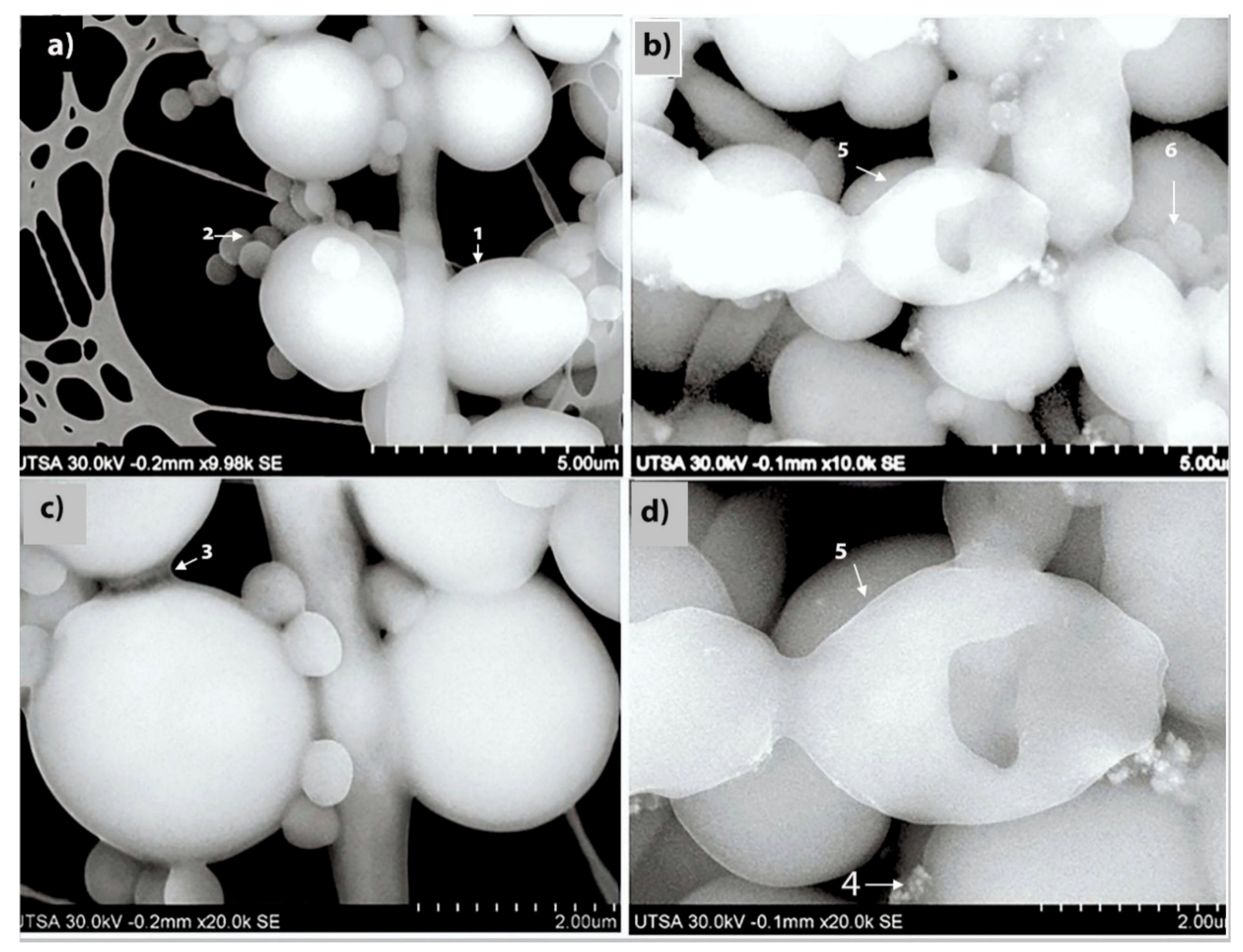Pathogens 09 00784 g002