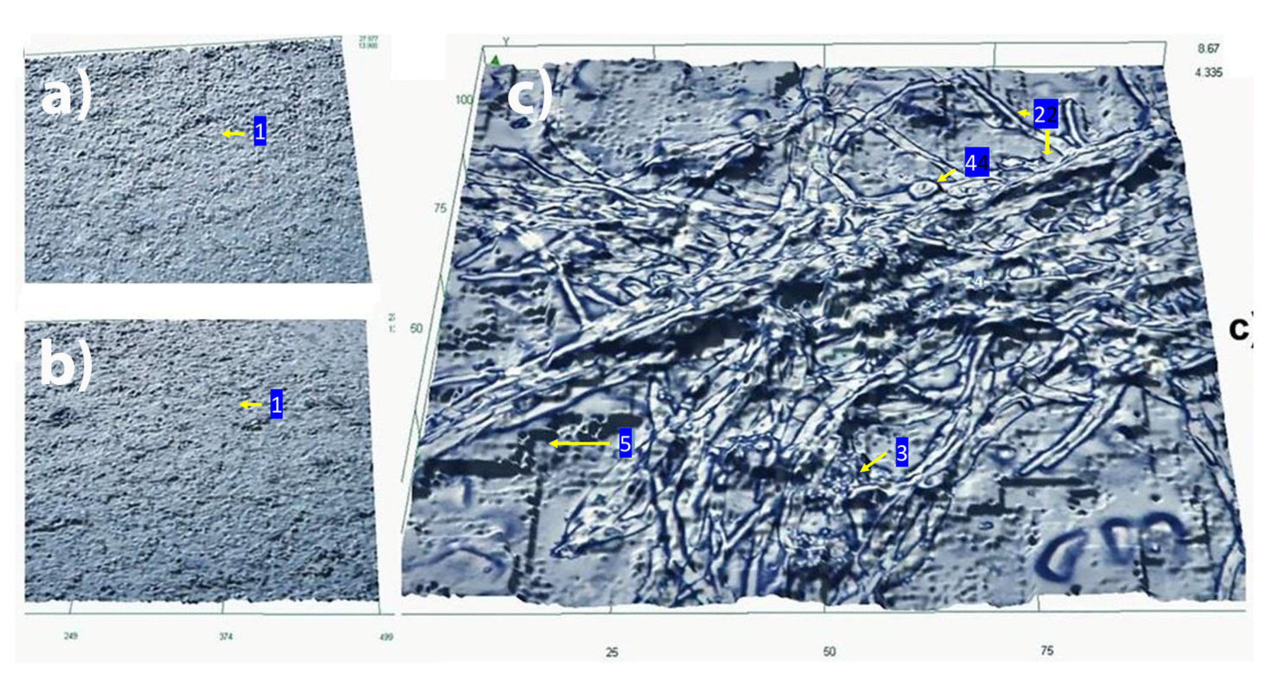Pathogens 09 00784 g005