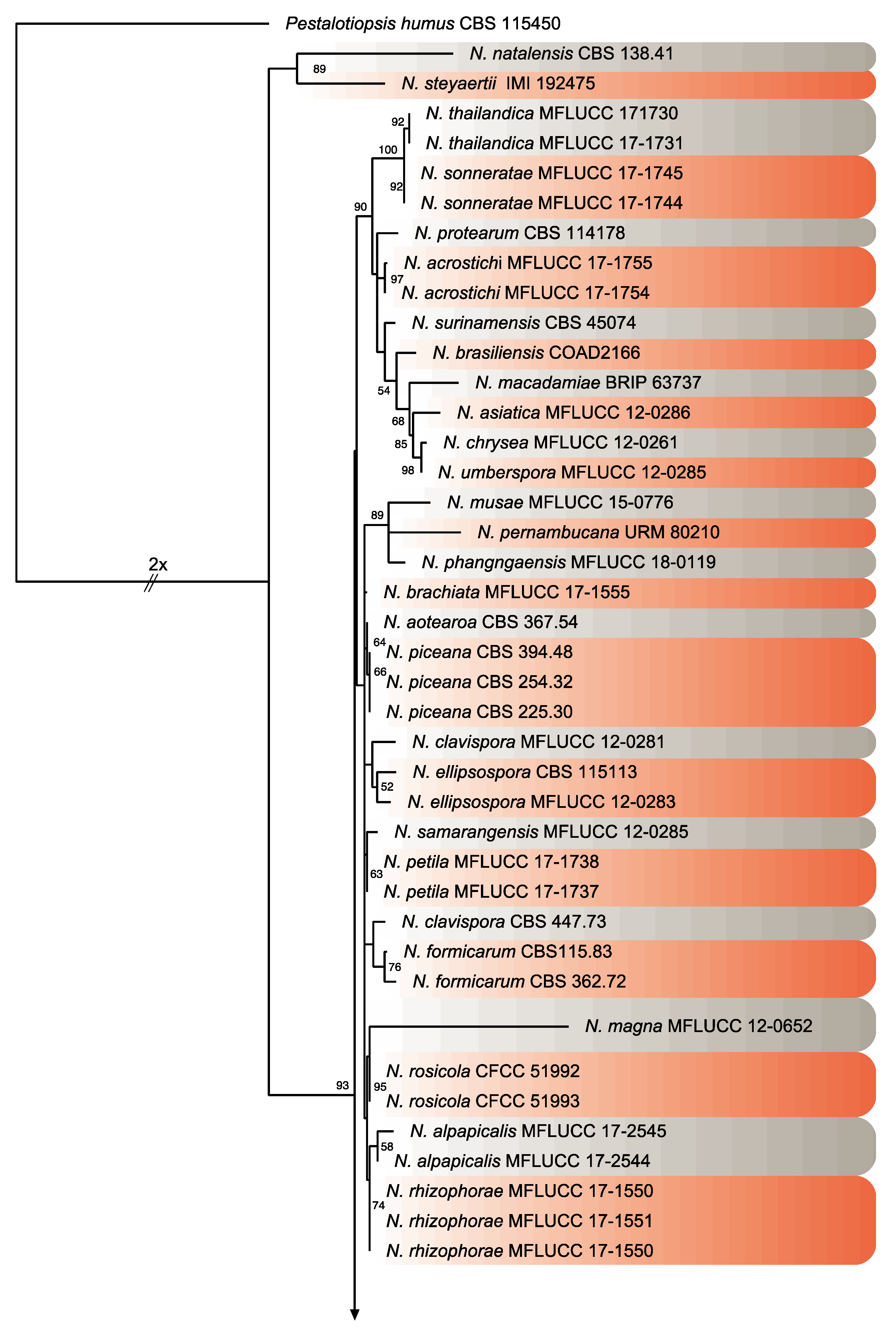 Pathogens 09 00788 g004a