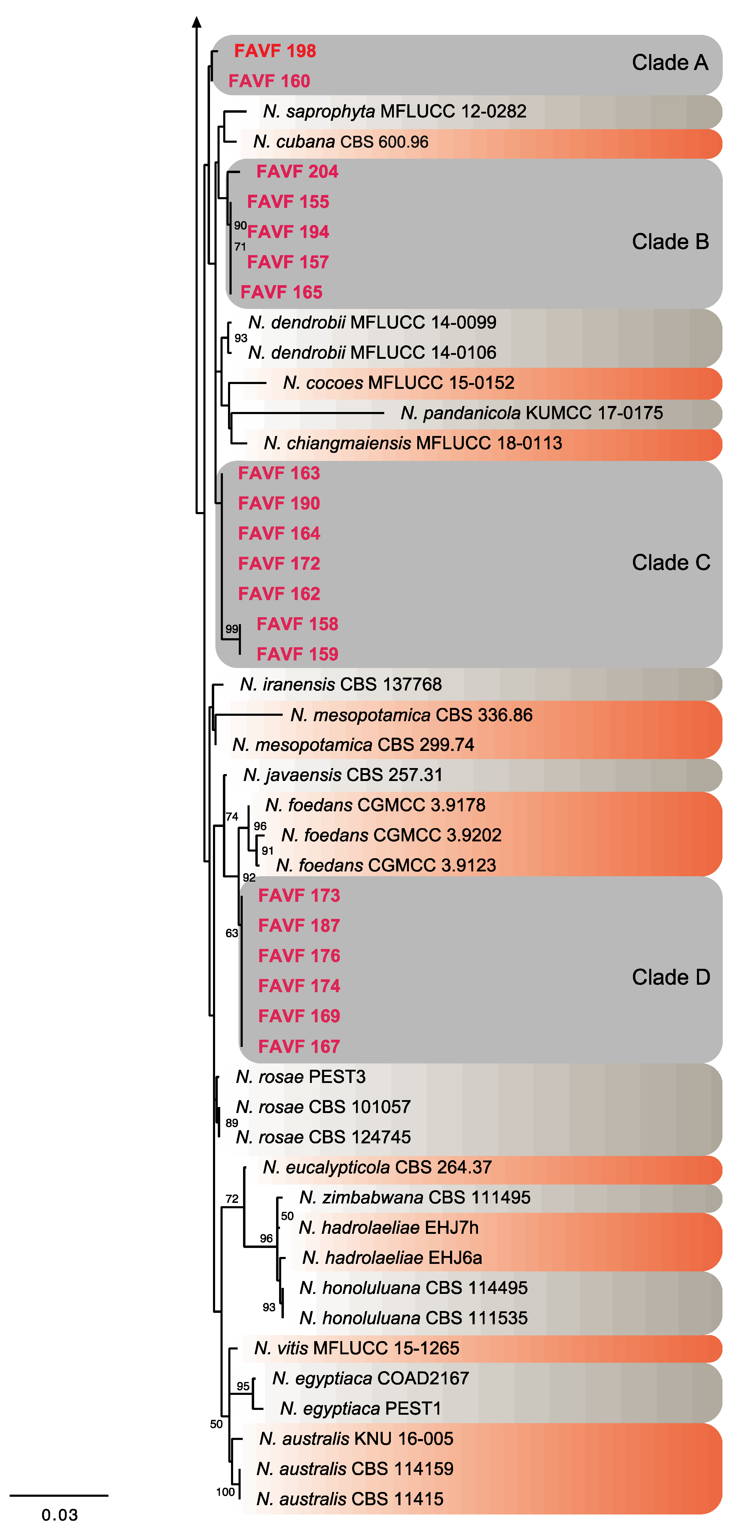 Pathogens 09 00788 g004b