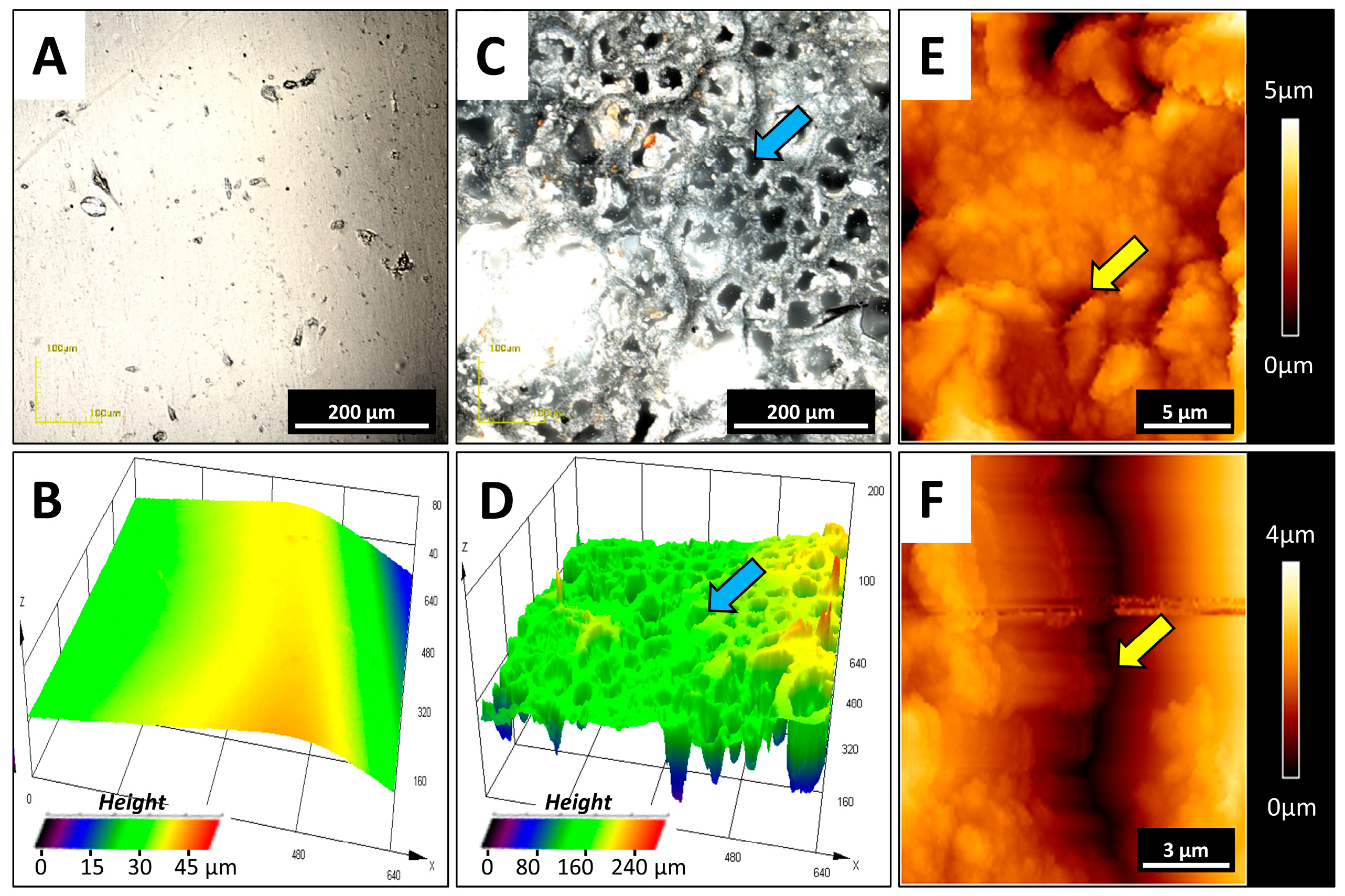 Pathogens 09 00793 g005 Pathogens 09 00793 g005