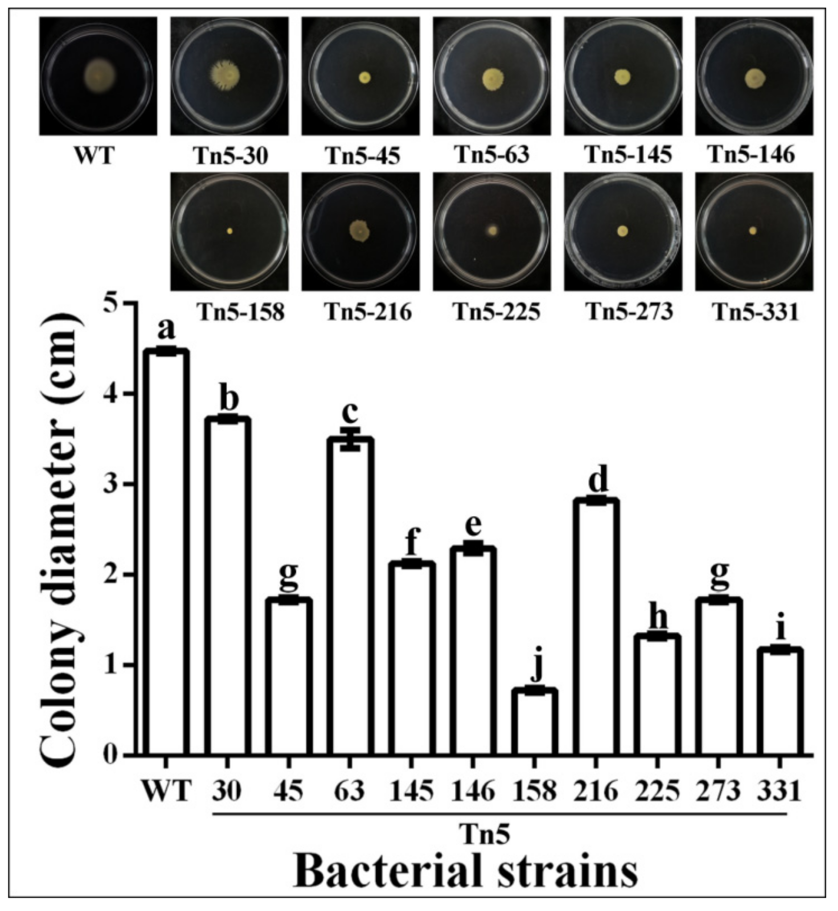 Pathogens 09 00797 g005 Pathogens 09 00797 g005