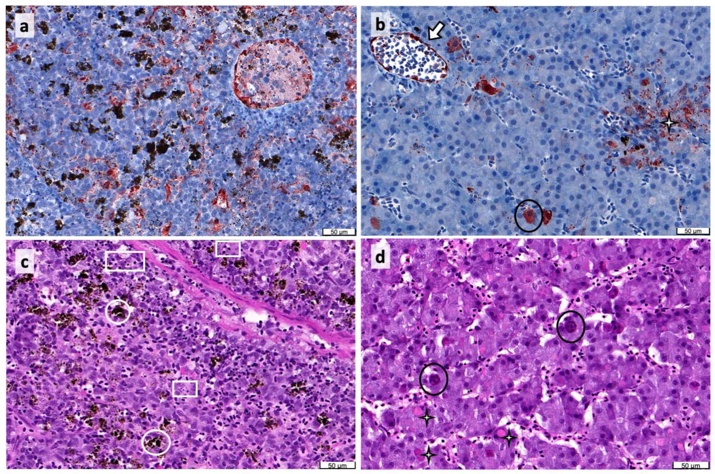 Pathogens 09 00807 g001 Pathogens 09 00807 g001