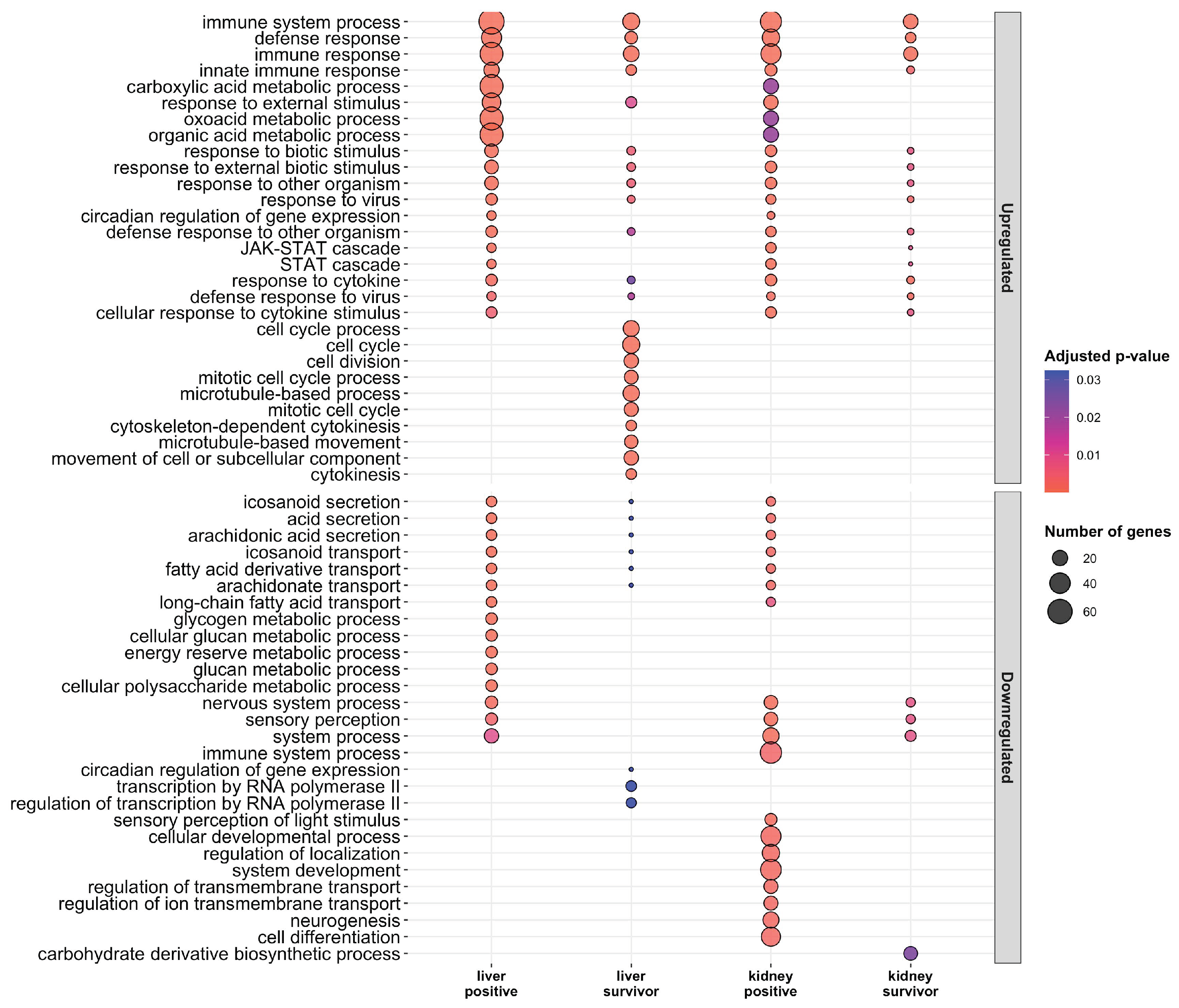 Pathogens 09 00807 g005 Pathogens 09 00807 g005