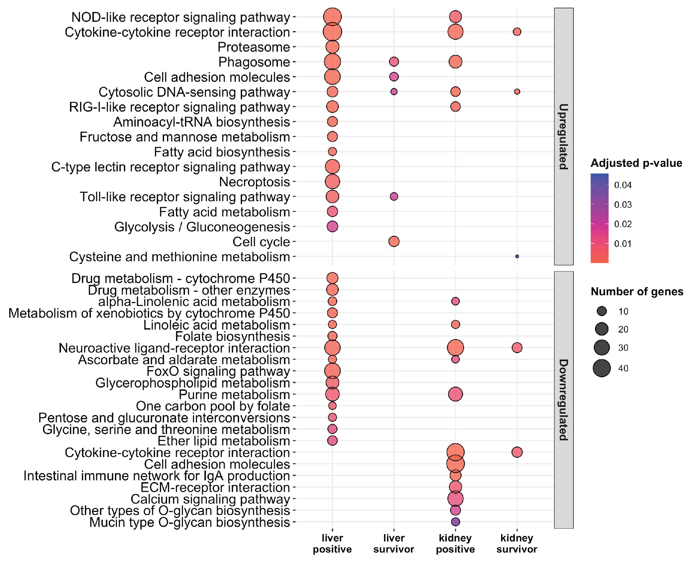 Pathogens 09 00807 g006 Pathogens 09 00807 g006