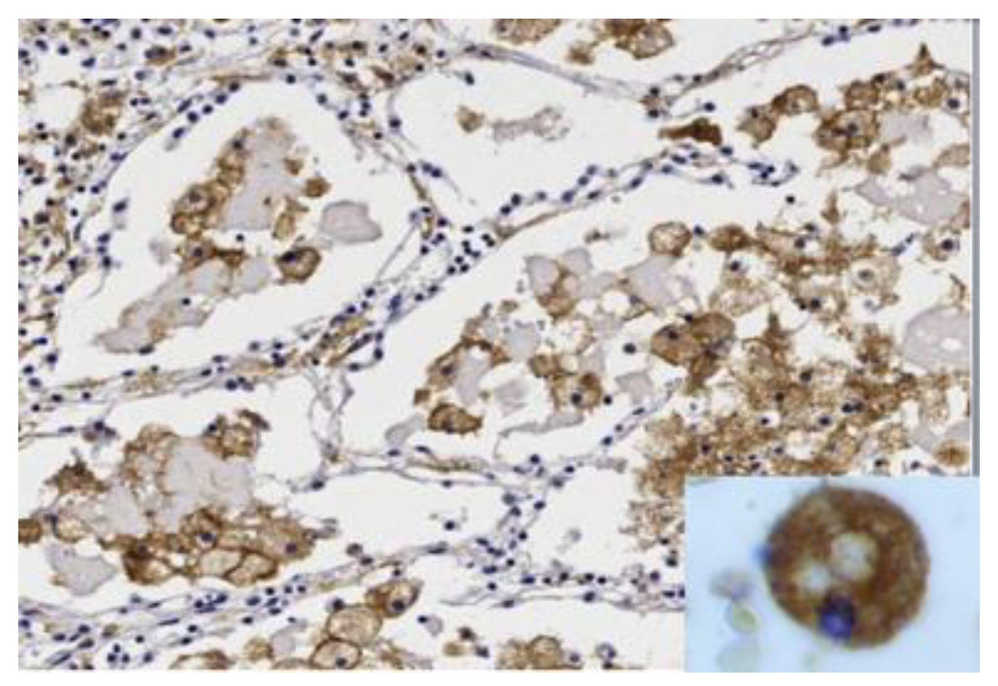 Pathogens 09 00813 g005 Pathogens 09 00813 g005