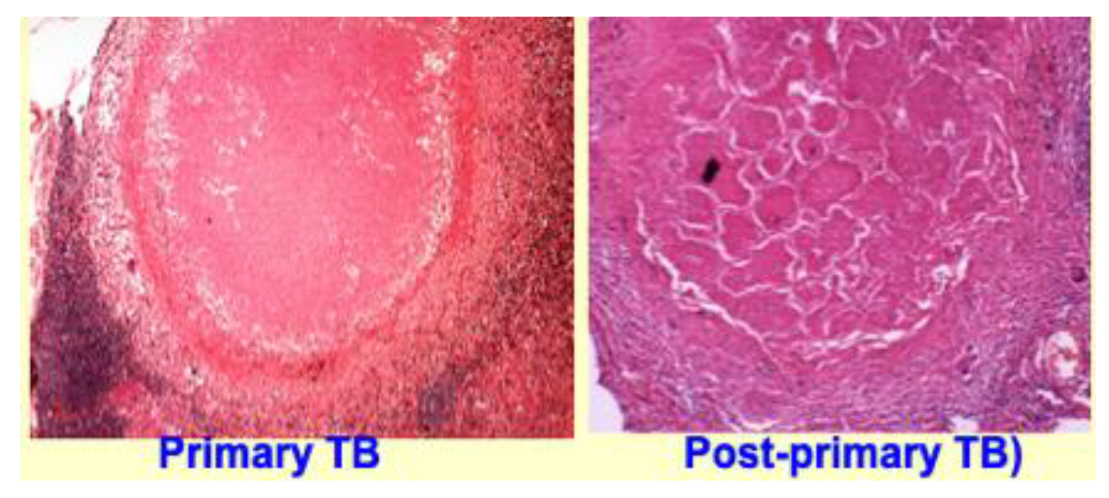 Pathogens 09 00813 g006 Pathogens 09 00813 g006