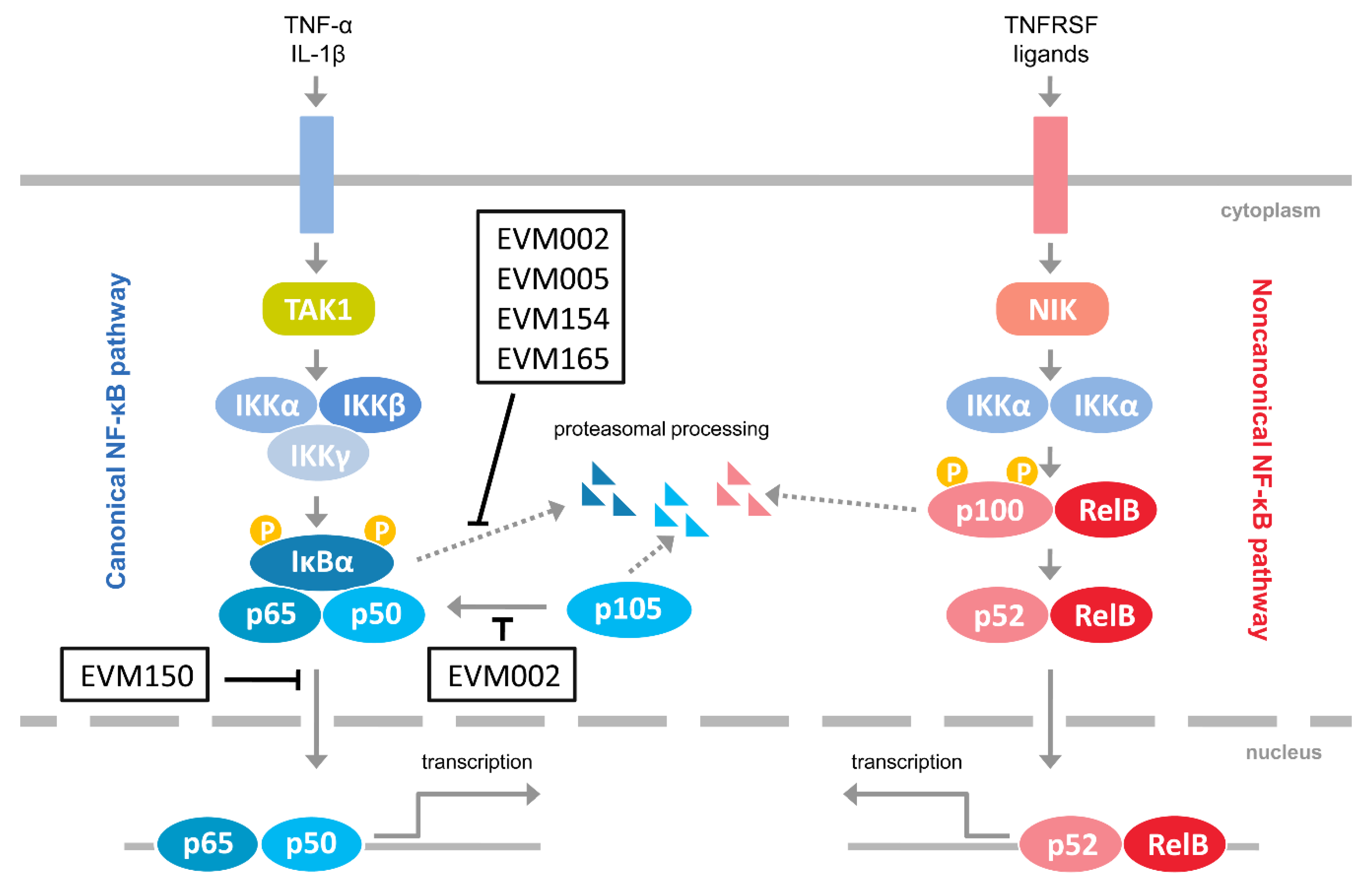 Pathogens 09 00814 g001 Pathogens 09 00814 g001