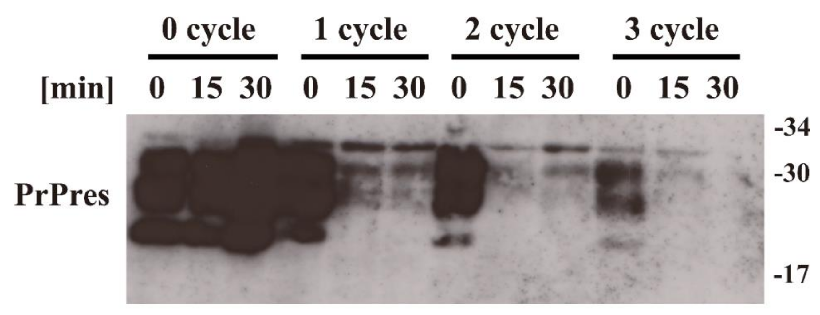 Pathogens 09 00819 g002 Pathogens 09 00819 g002